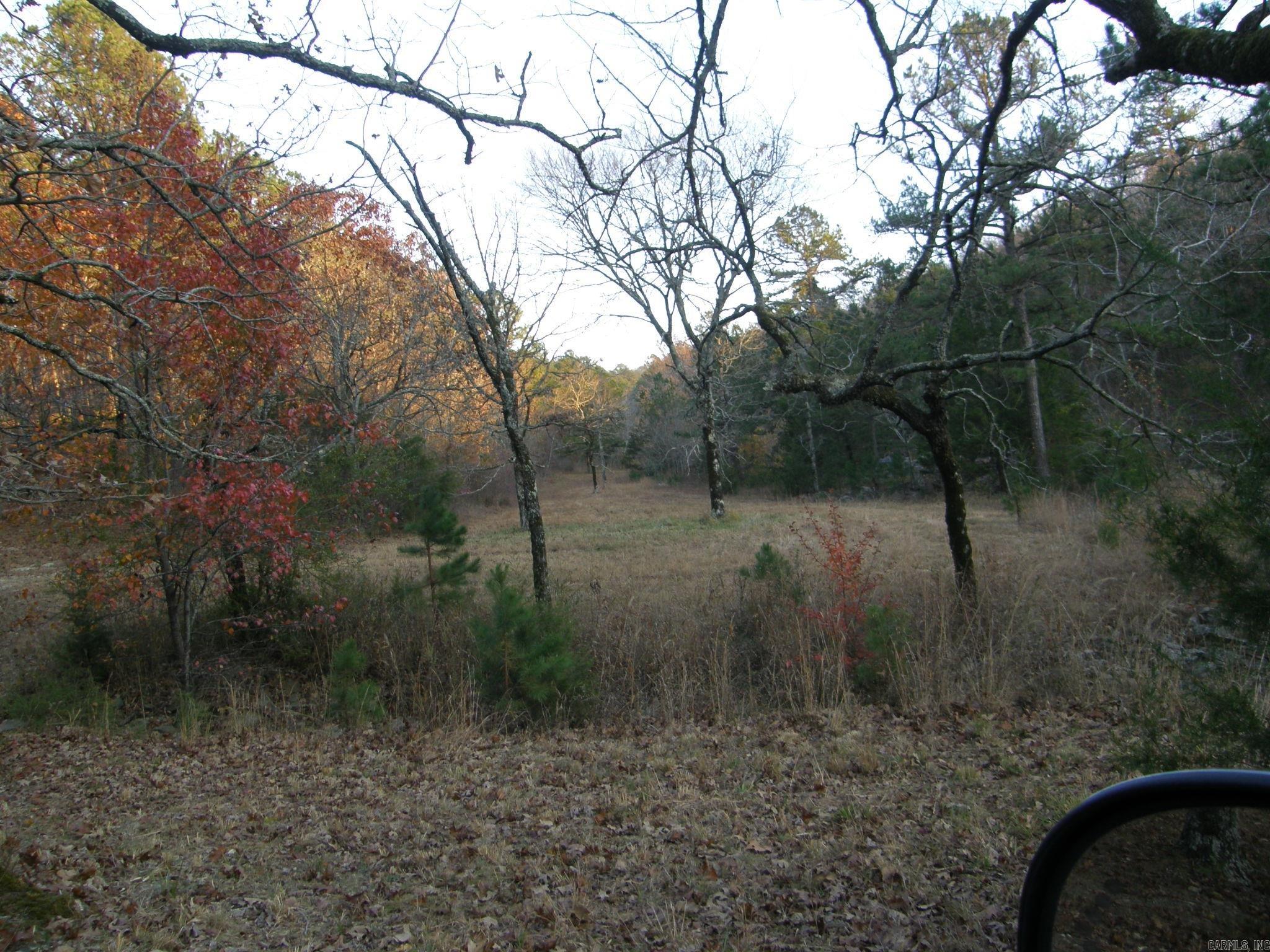 TBD  Polk Road 64  Mena, AR