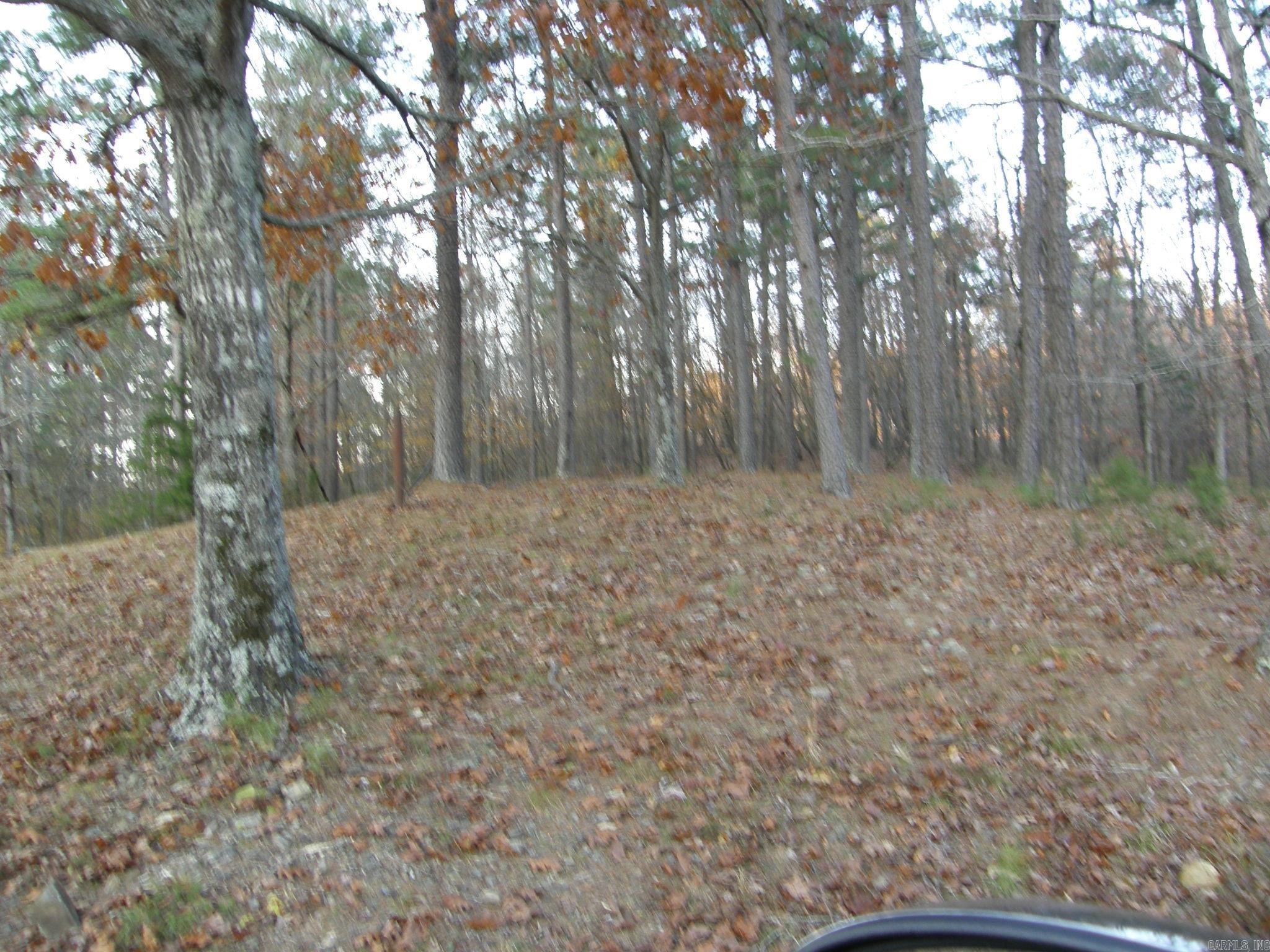 TBD  Polk Road 64  Mena, AR