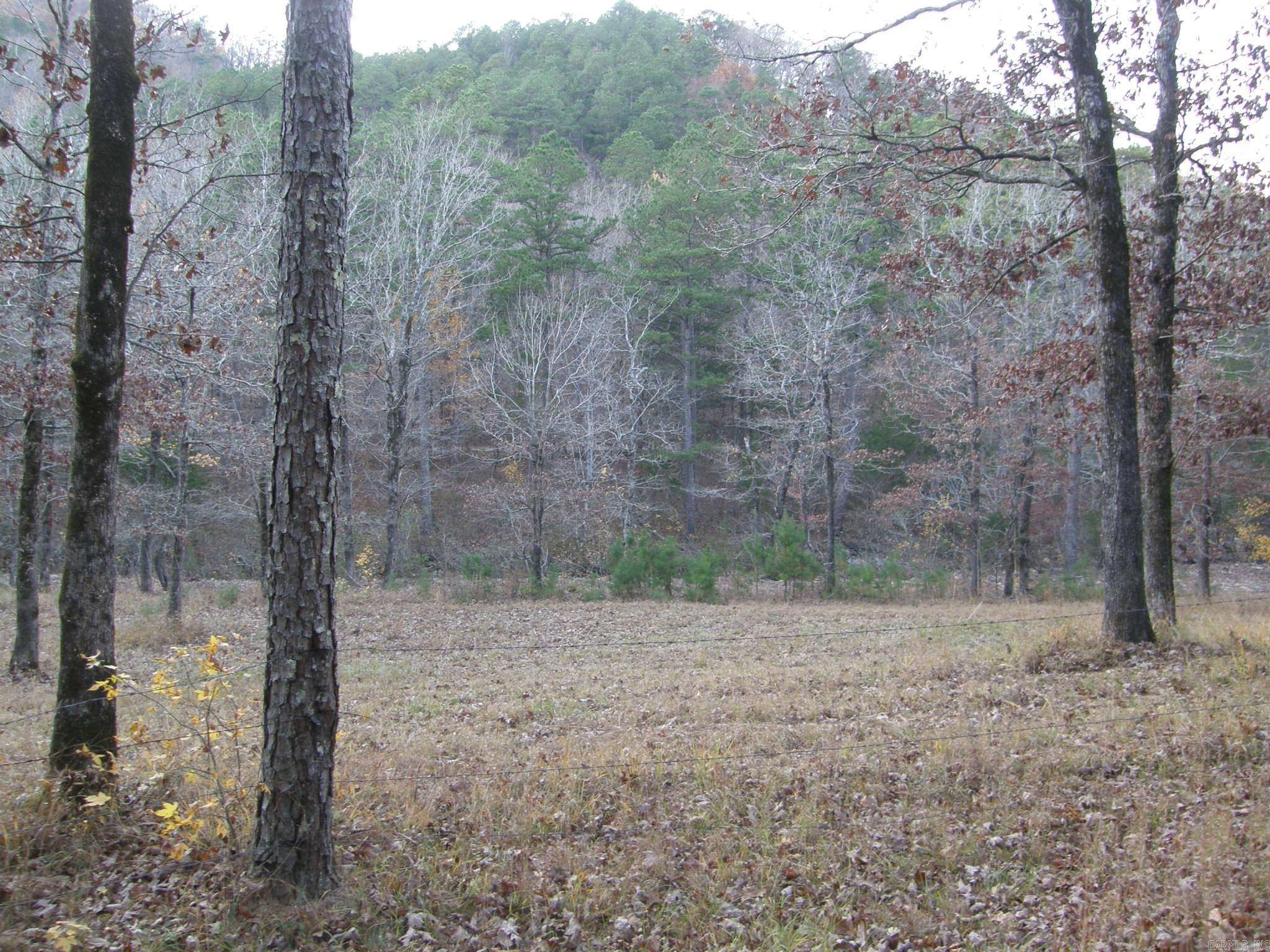 TBD  Polk Road 64  Mena, AR