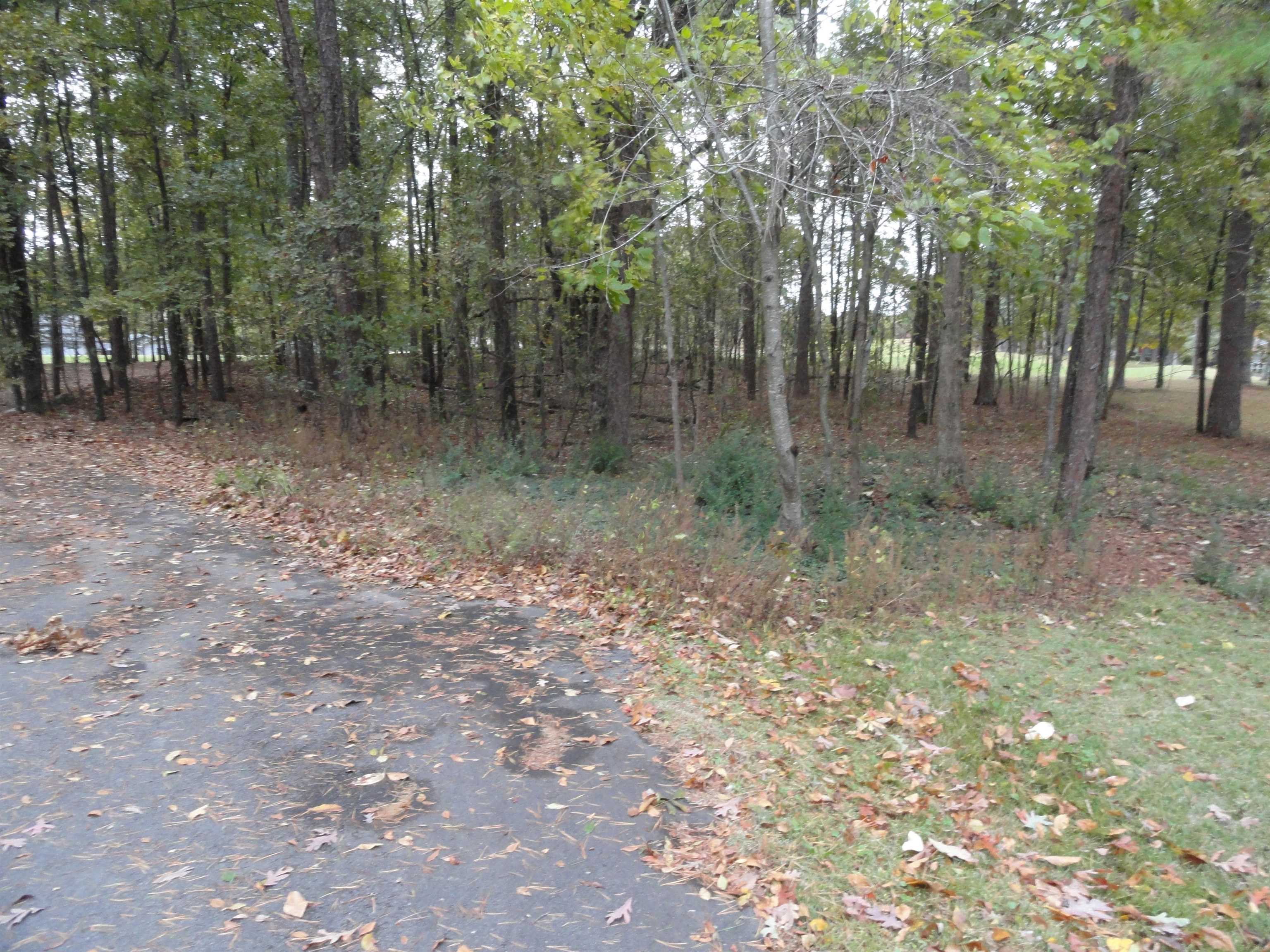238 Snead Drive Fairfield Bay, AR 72088