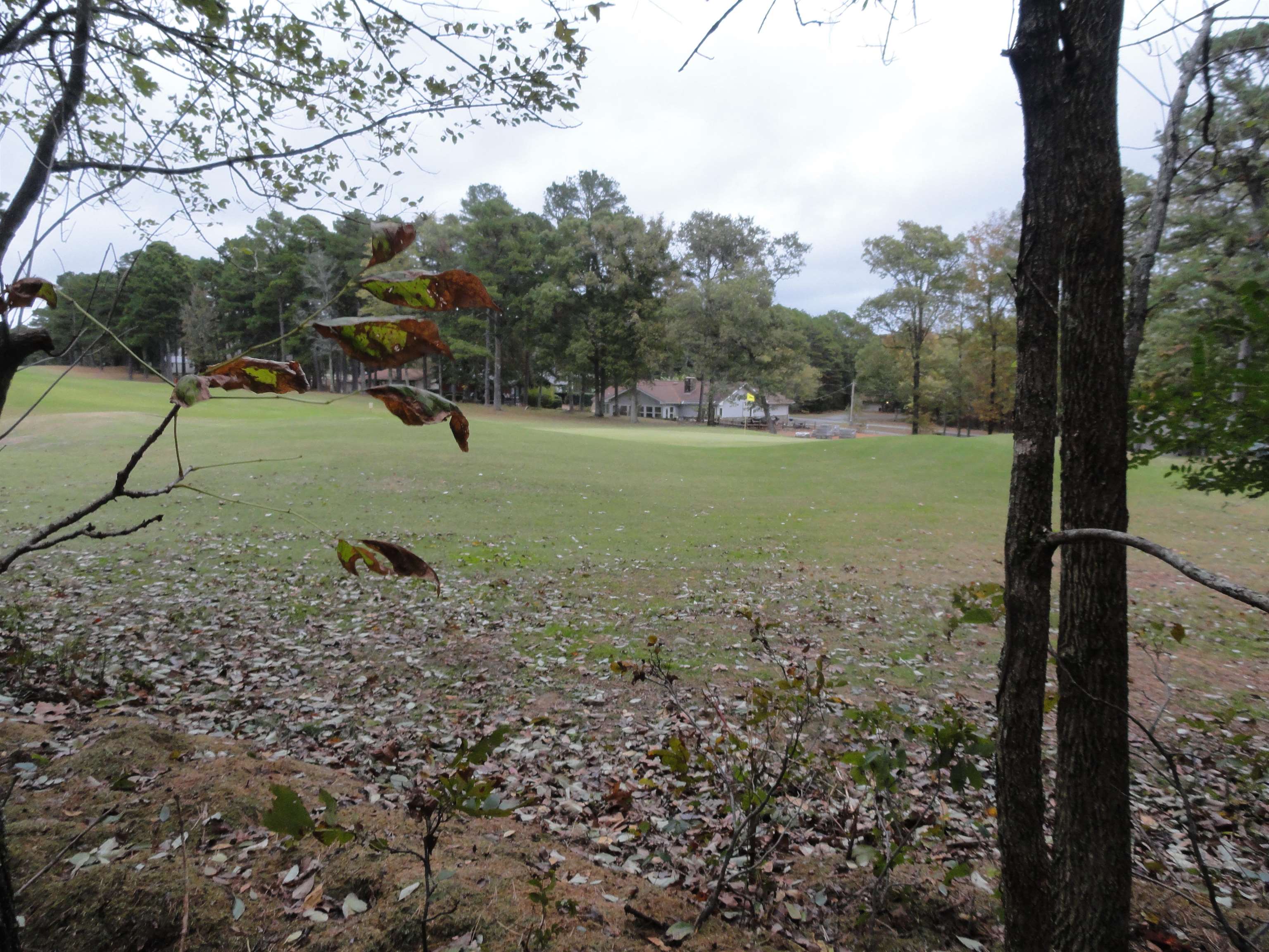 238 Snead Drive Fairfield Bay, AR 72088
