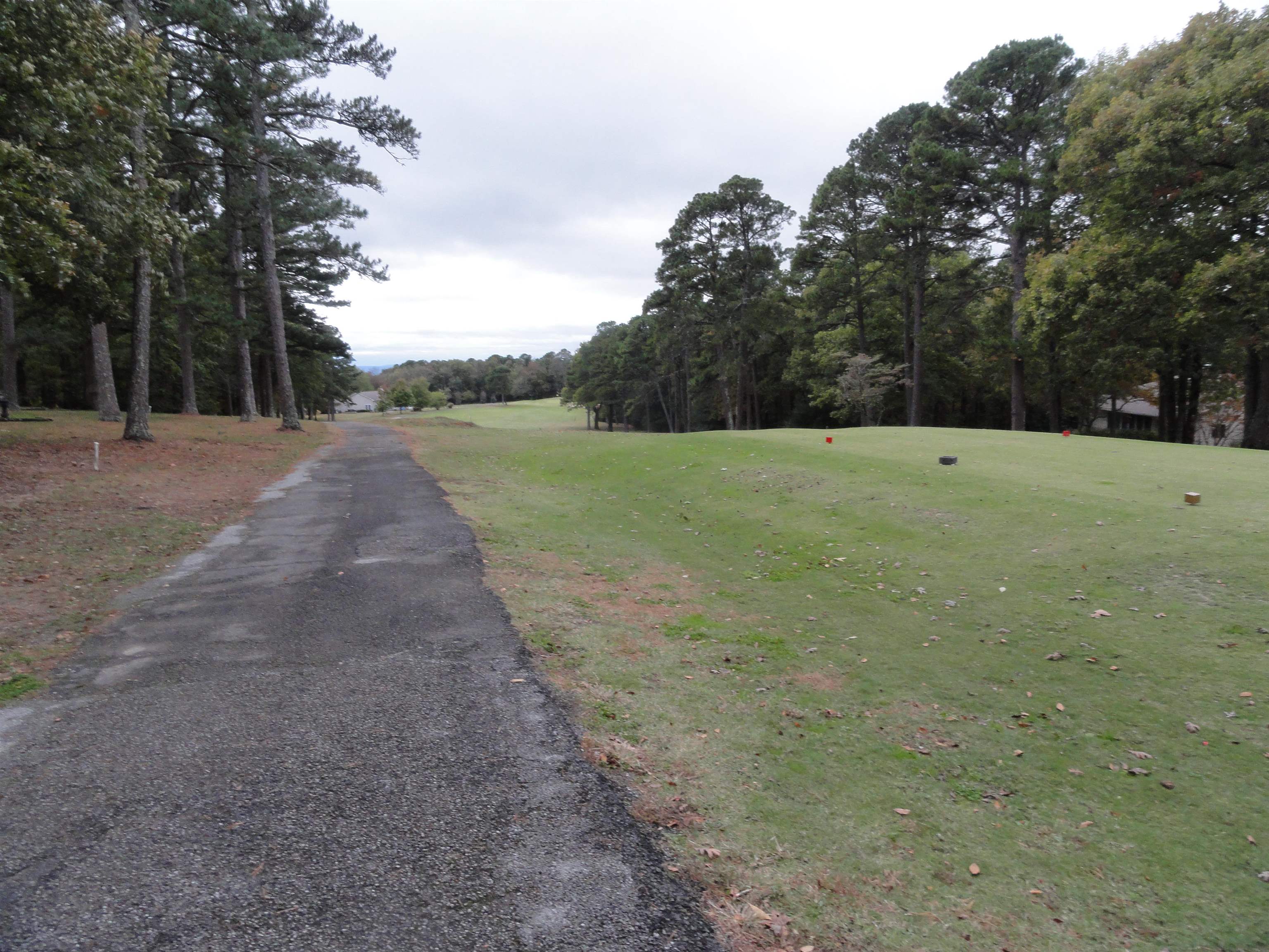 238 Snead Drive Fairfield Bay, AR 72088