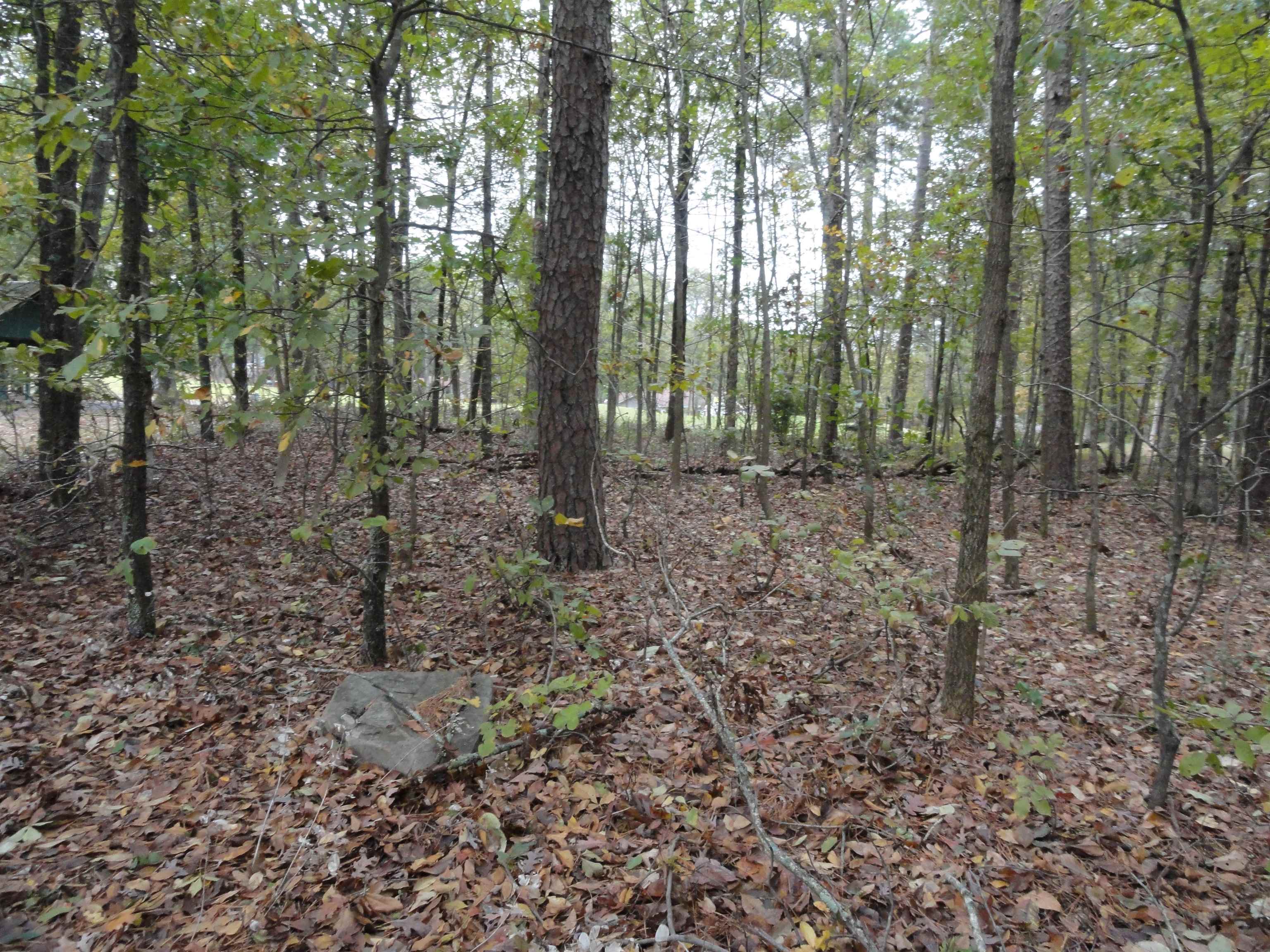 238 Snead Drive Fairfield Bay, AR 72088