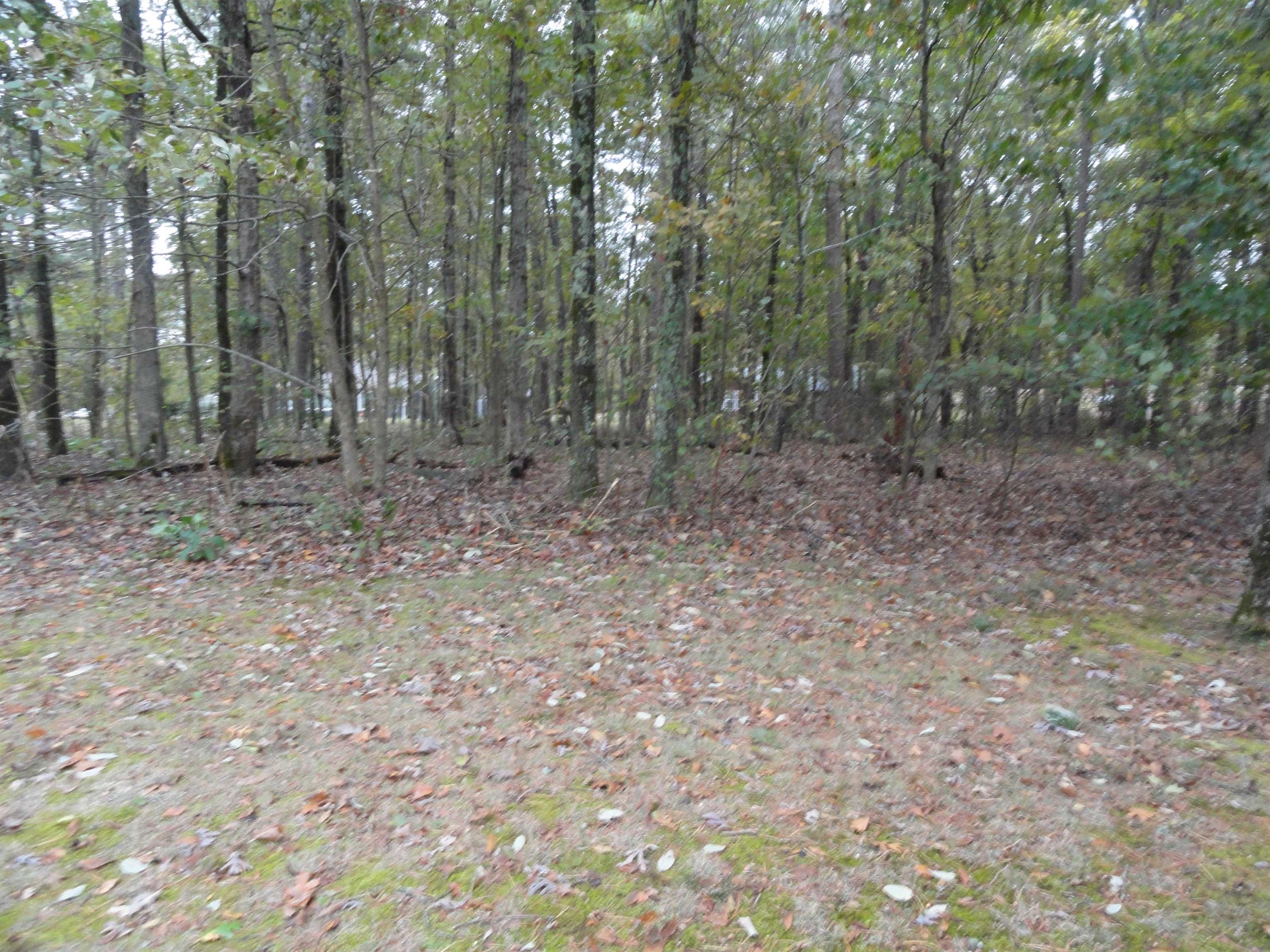 238 Snead Drive Fairfield Bay, AR 72088