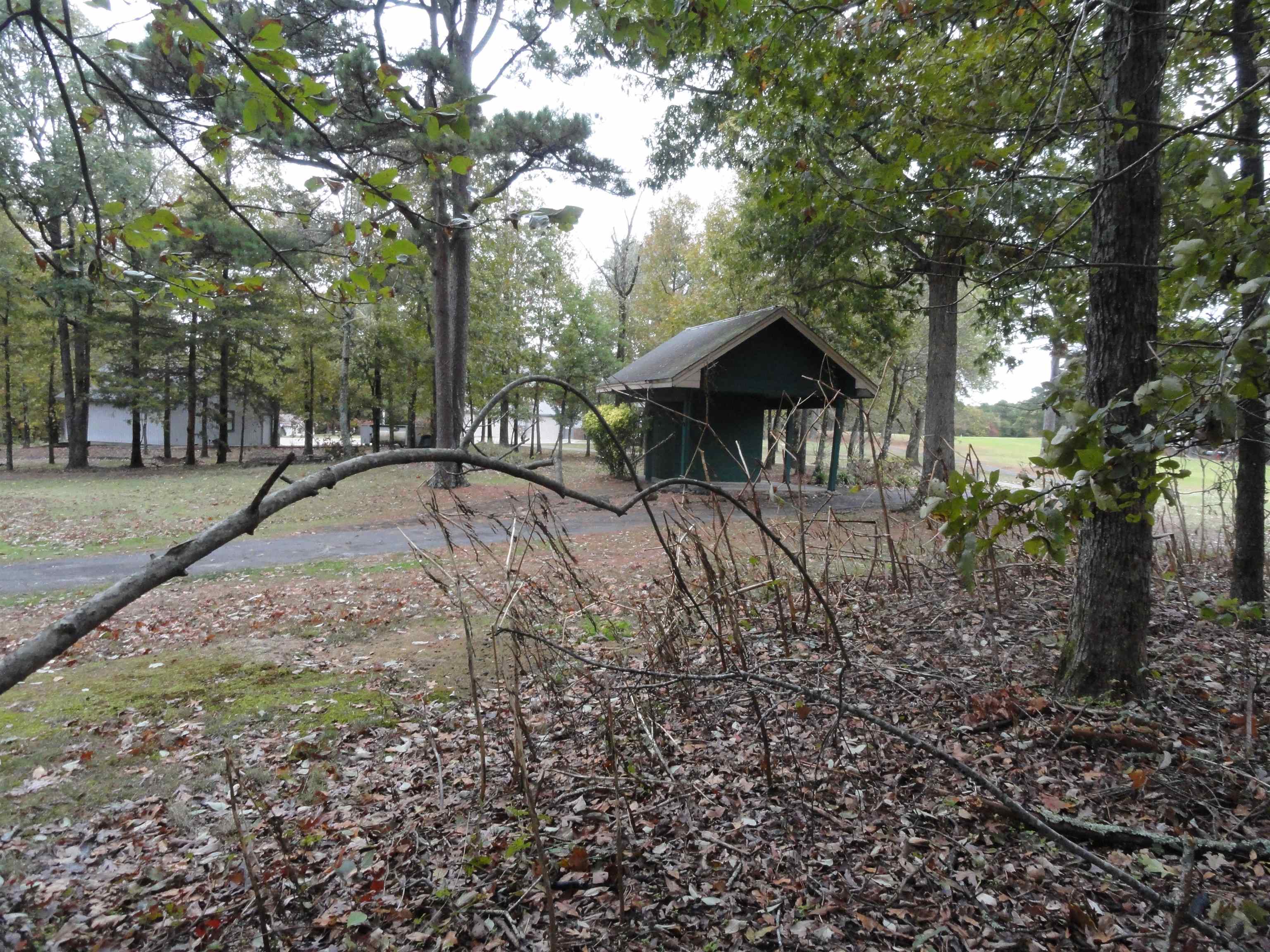 238 Snead Drive Fairfield Bay, AR 72088