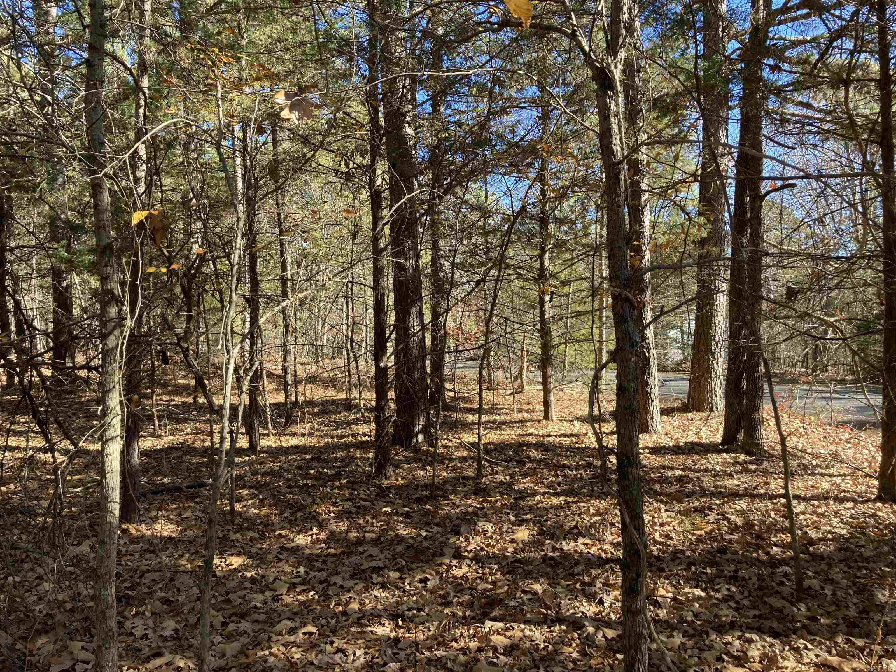 00  Edgemere  Fairfield Bay, AR
