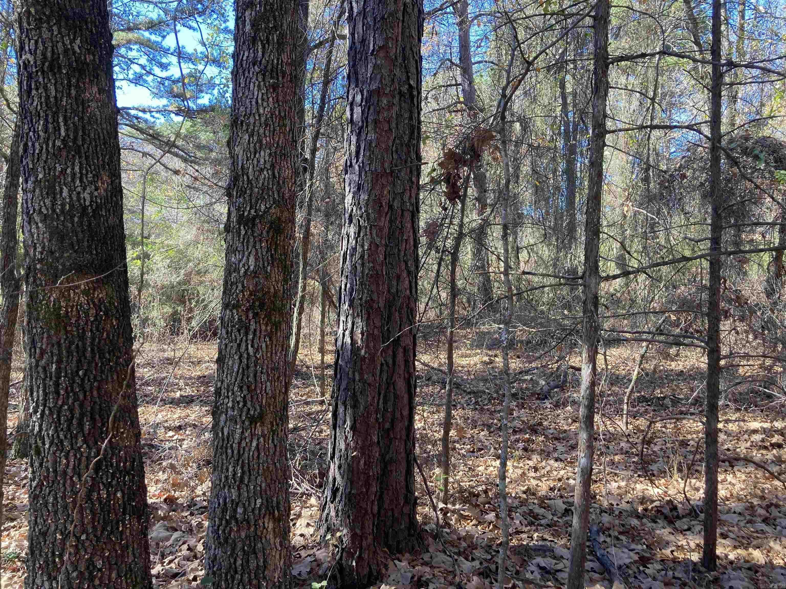 00  Edgemere  Fairfield Bay, AR