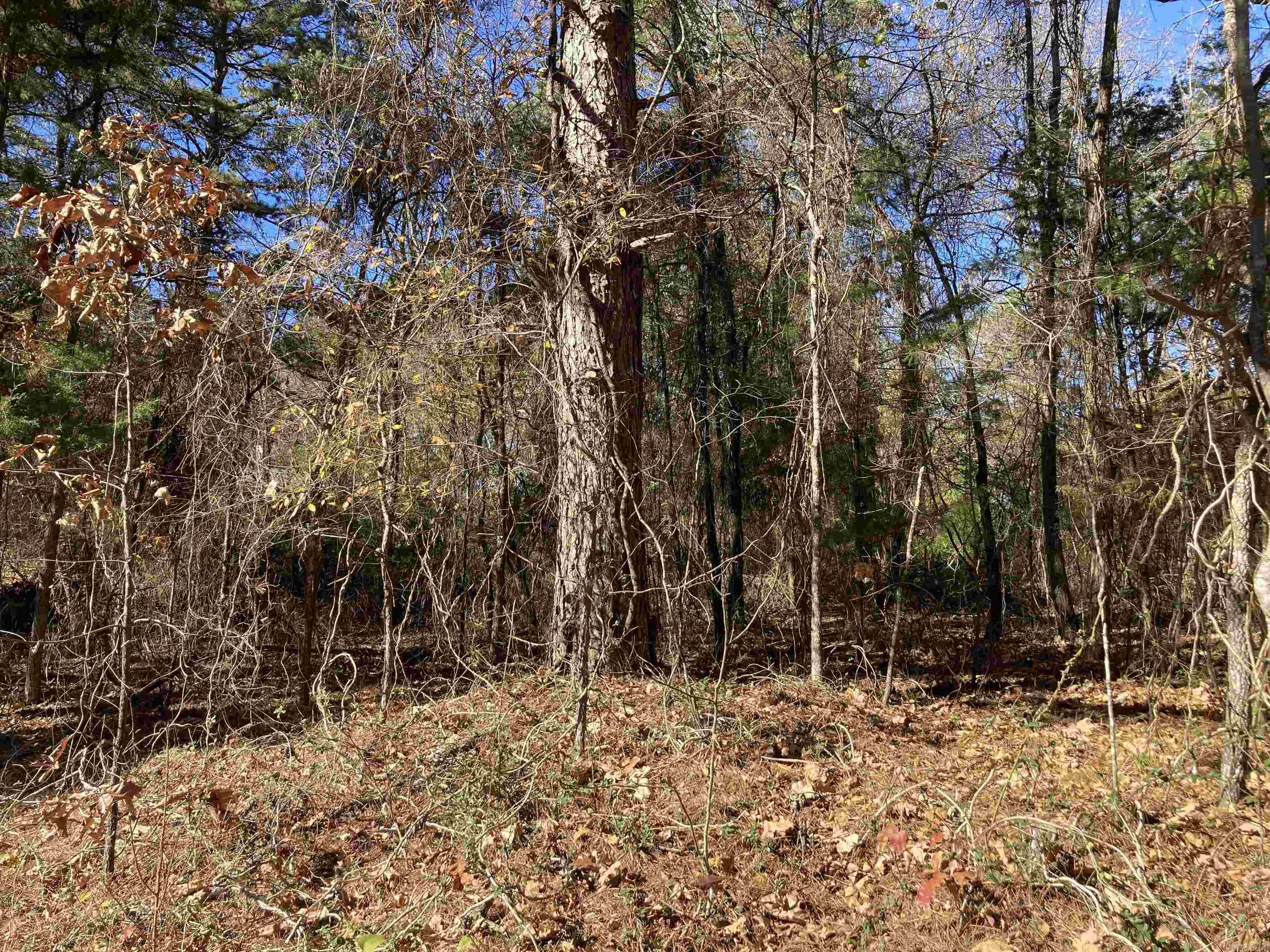 00  Edgemere  Fairfield Bay, AR