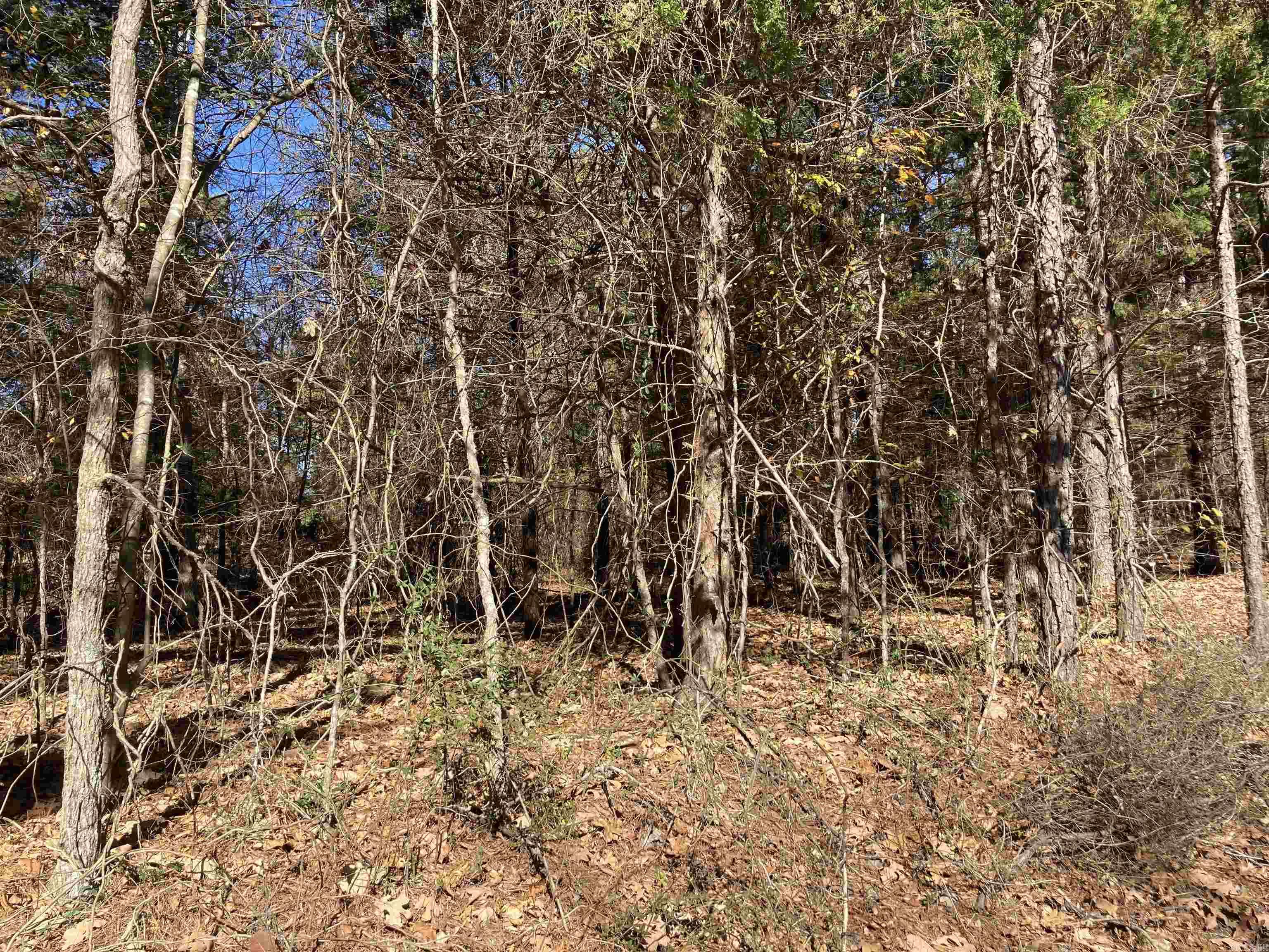 00  Edgemere  Fairfield Bay, AR