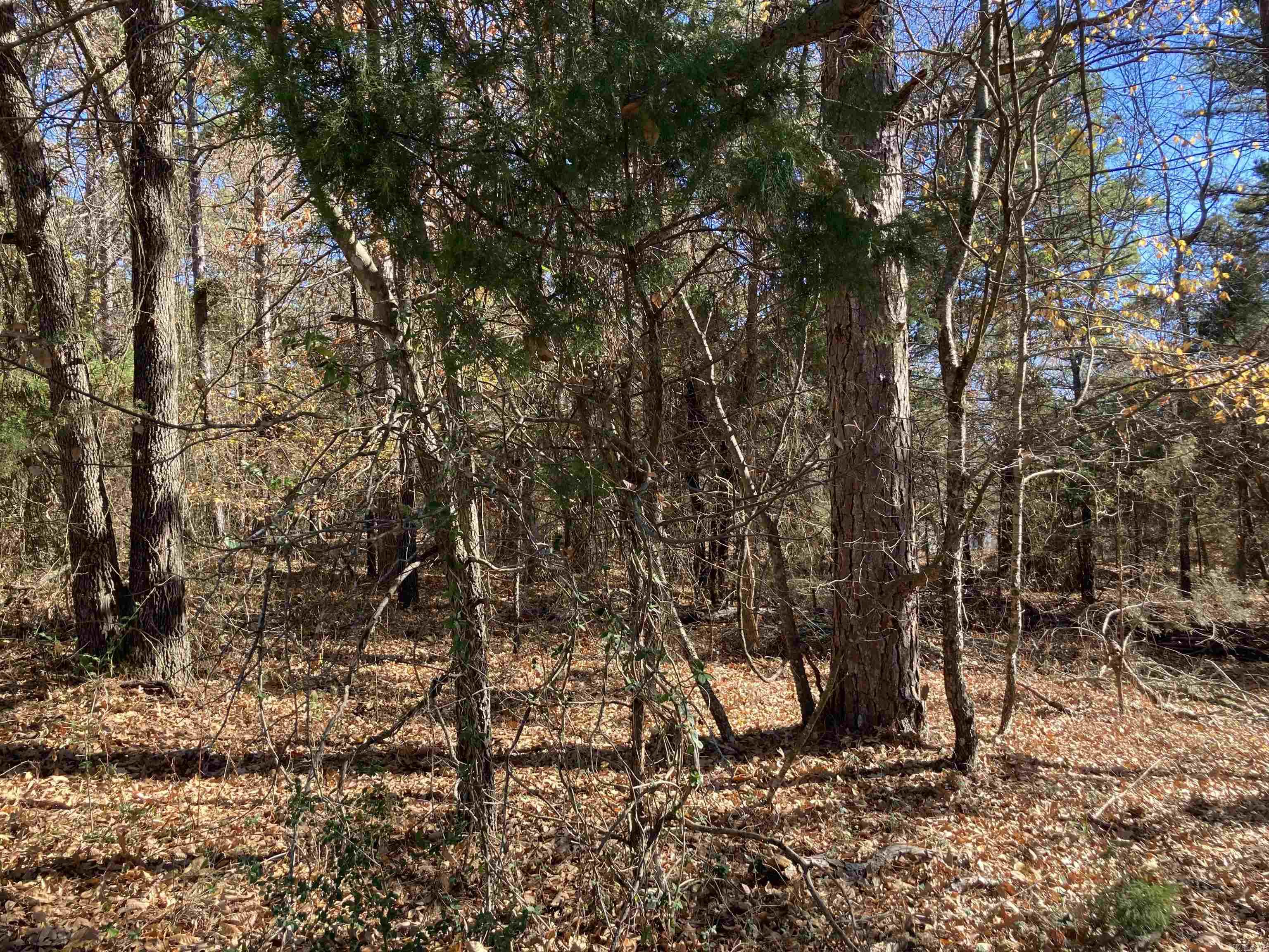 00  Edgemere  Fairfield Bay, AR