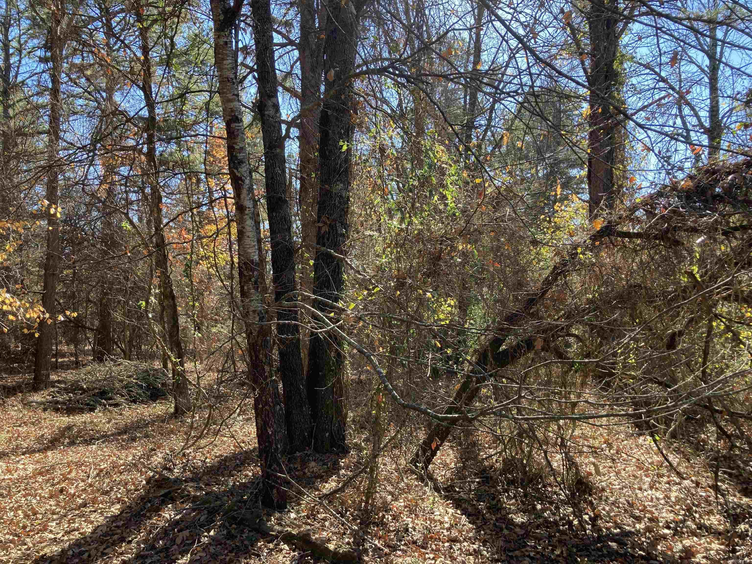 00  Edgemere  Fairfield Bay, AR