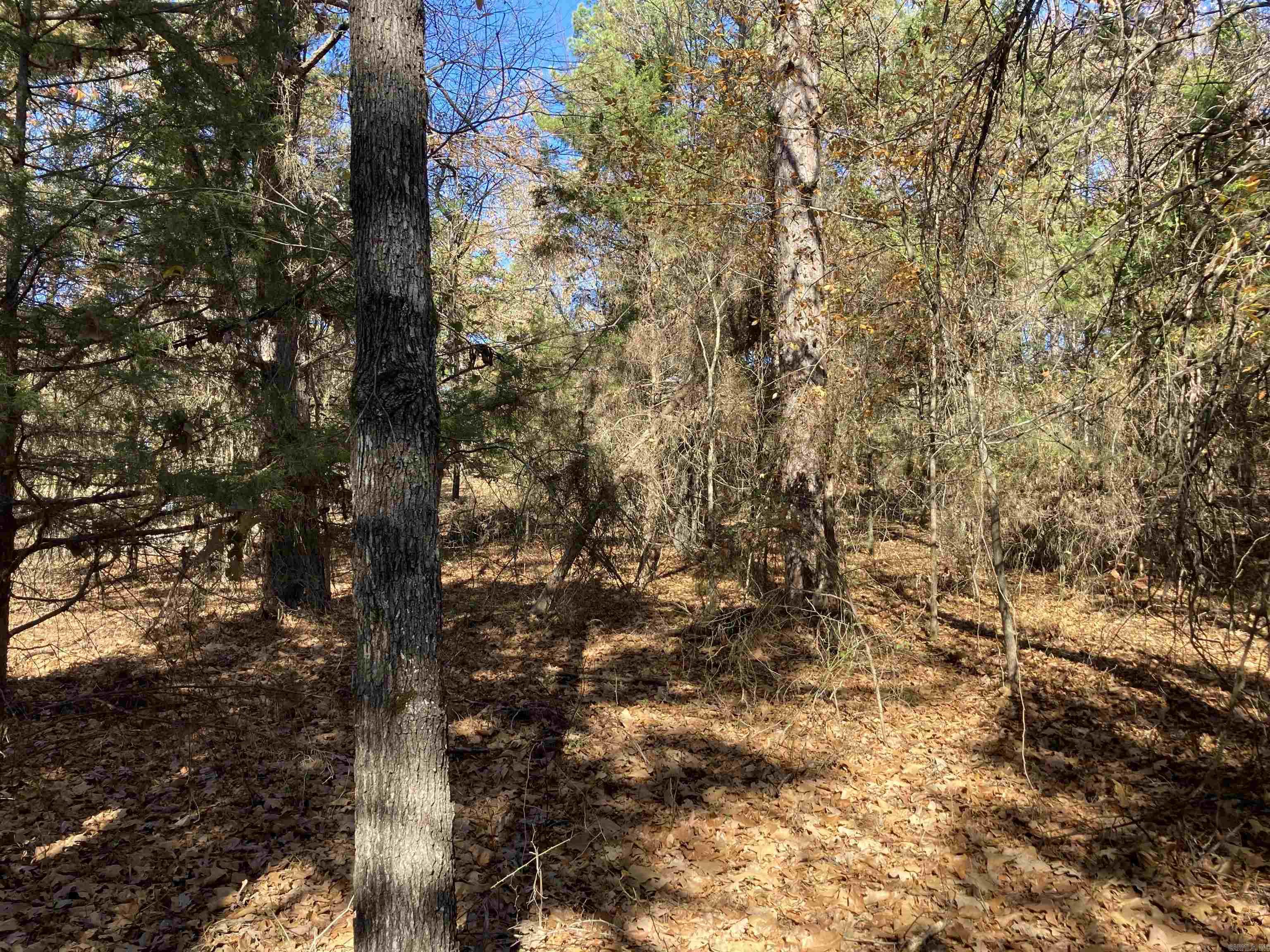 00  Edgemere  Fairfield Bay, AR