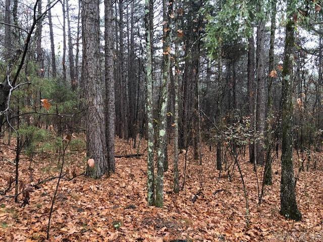 000  Mountain Ranch  Fairfield Bay, AR