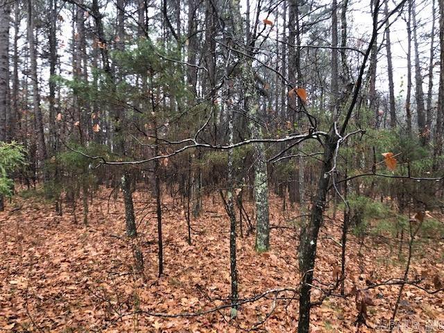 000  Mountain Ranch  Fairfield Bay, AR