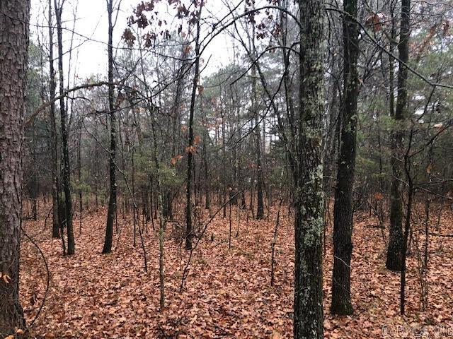 000  Mountain Ranch  Fairfield Bay, AR