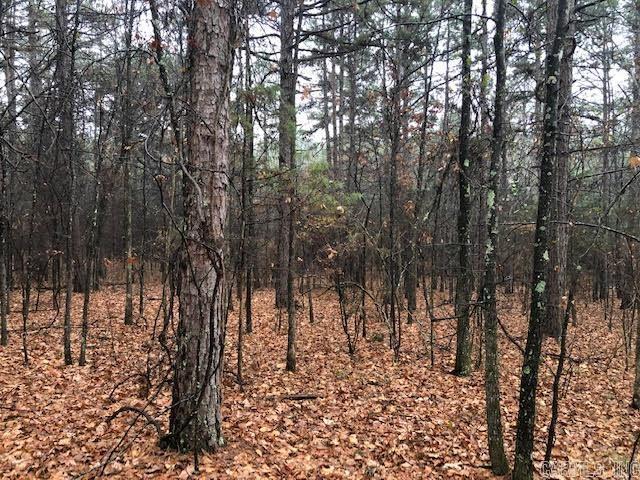 000  Mountain Ranch  Fairfield Bay, AR
