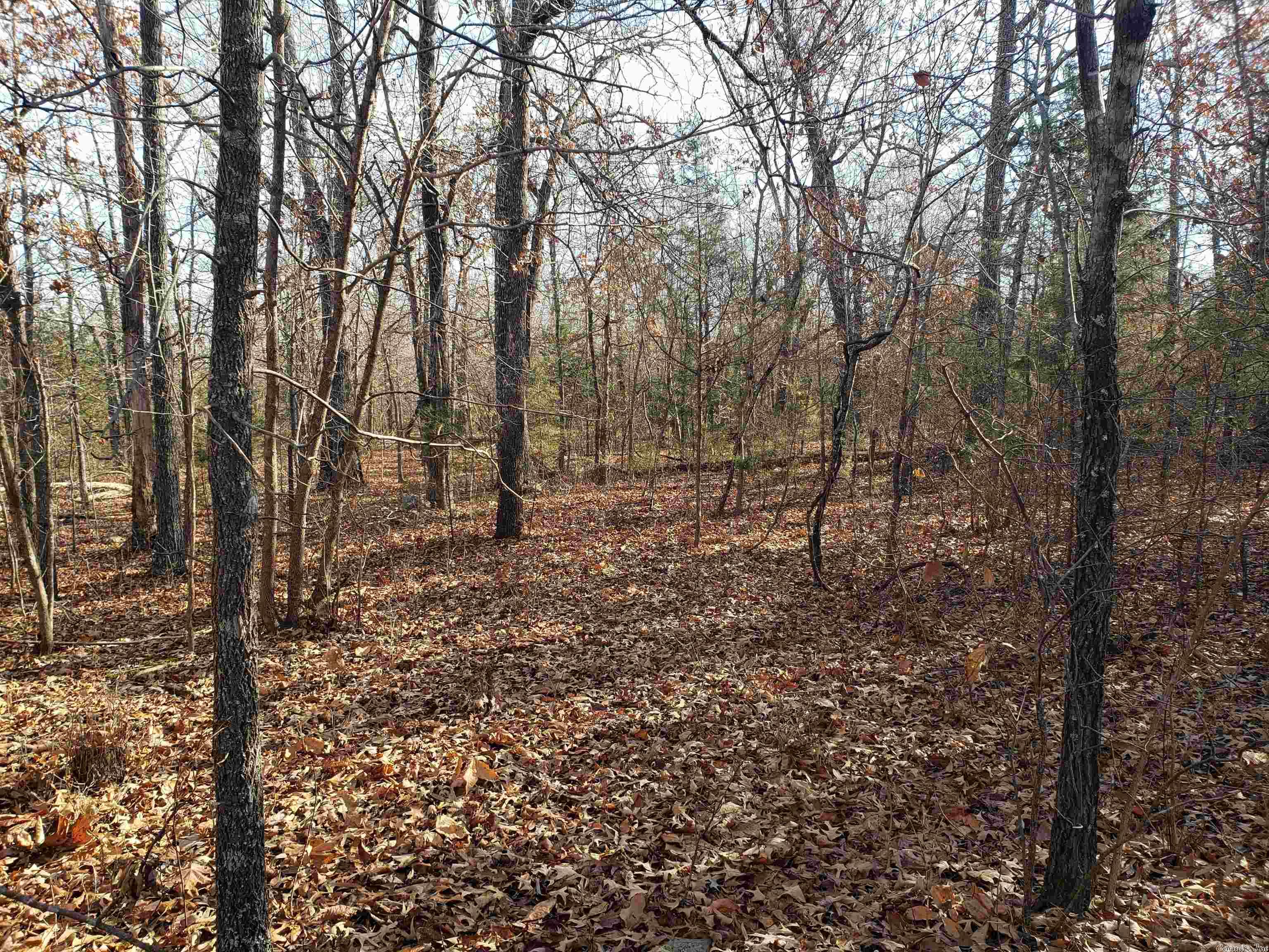 L-22 & 23, B-9  Poteau  Cherokee Village, AR