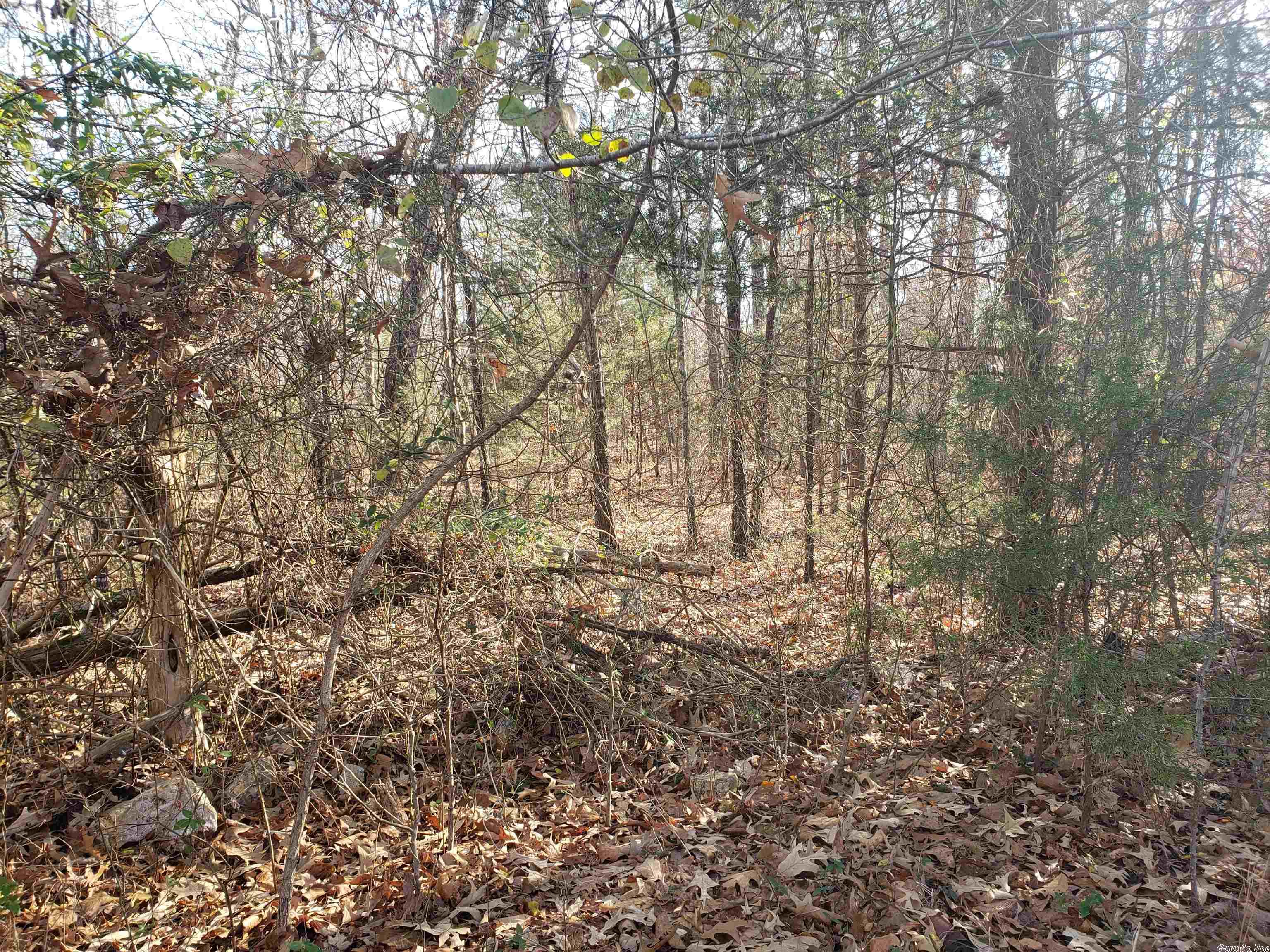 L-22 & 23, B-9  Poteau  Cherokee Village, AR
