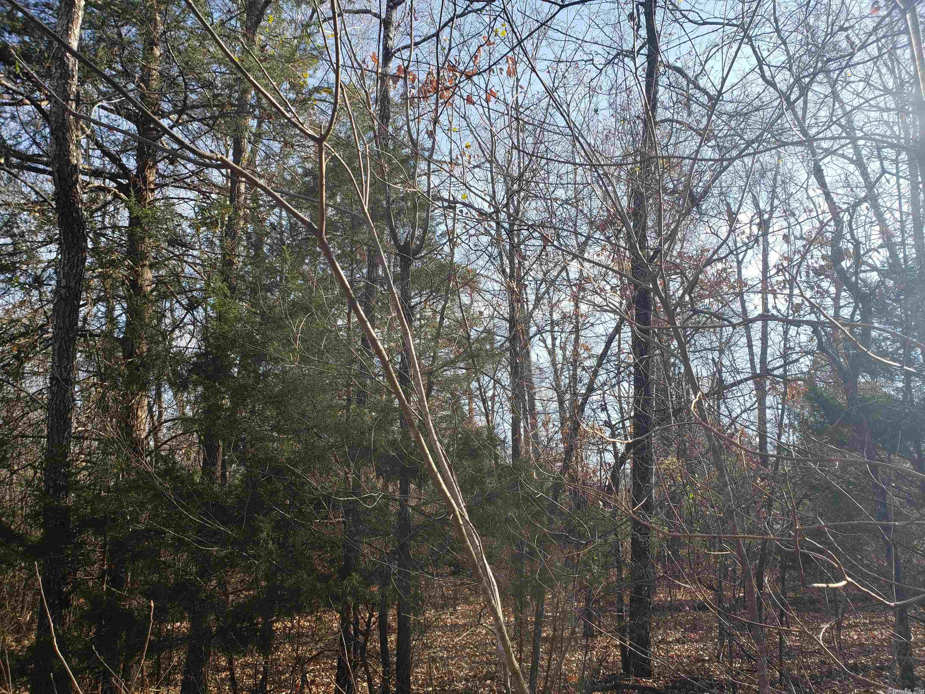L-22 & 23, B-9  Poteau  Cherokee Village, AR