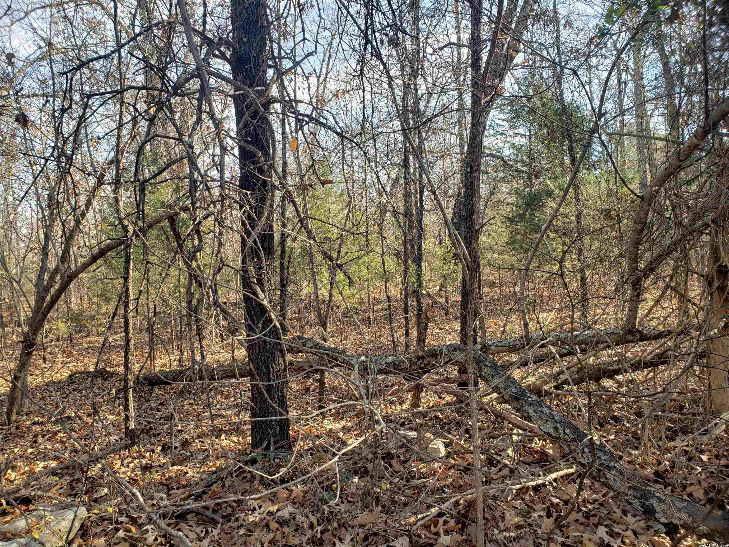 L-22 & 23, B-9  Poteau  Cherokee Village, AR