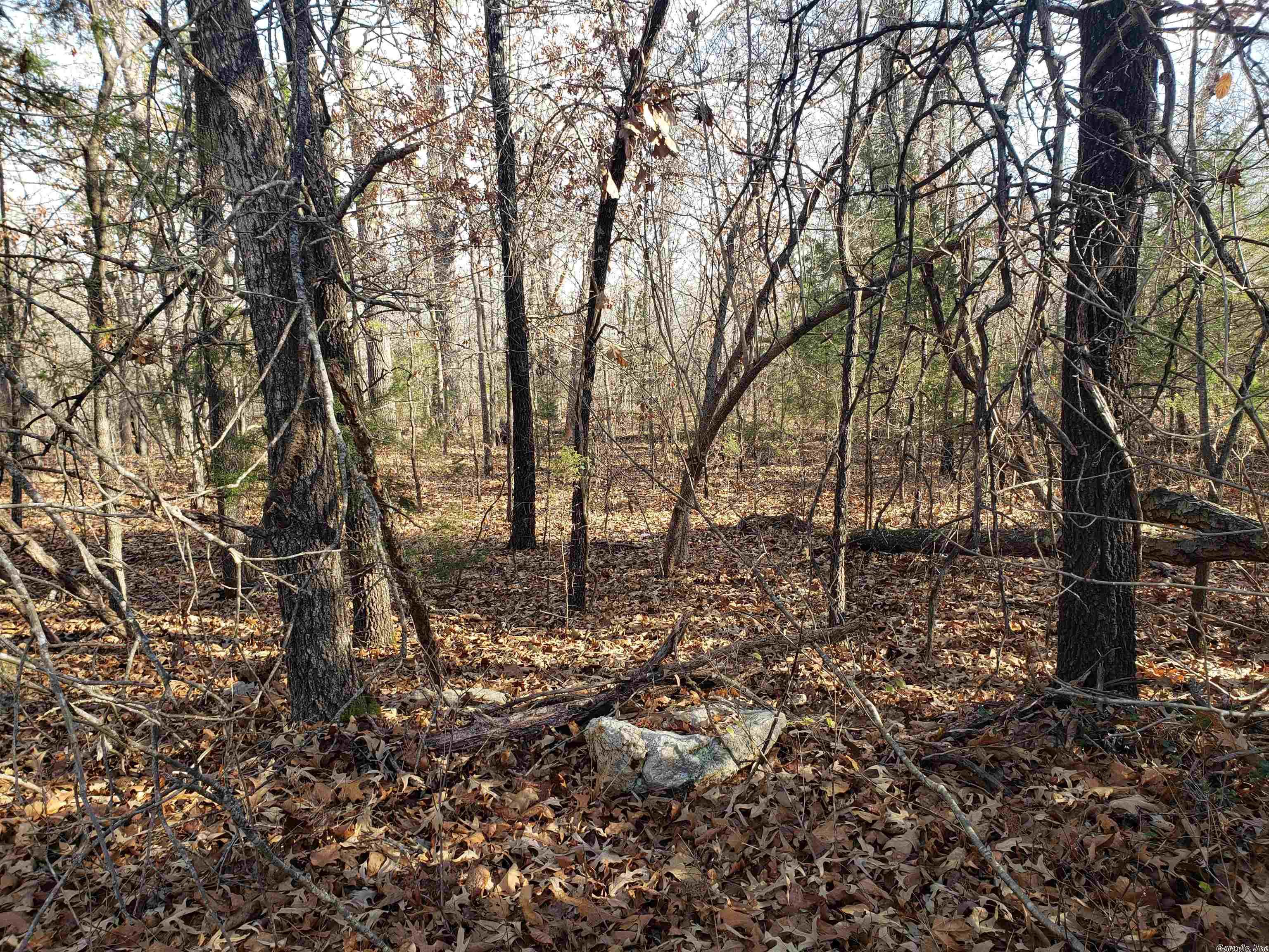 L-22 & 23, B-9  Poteau  Cherokee Village, AR