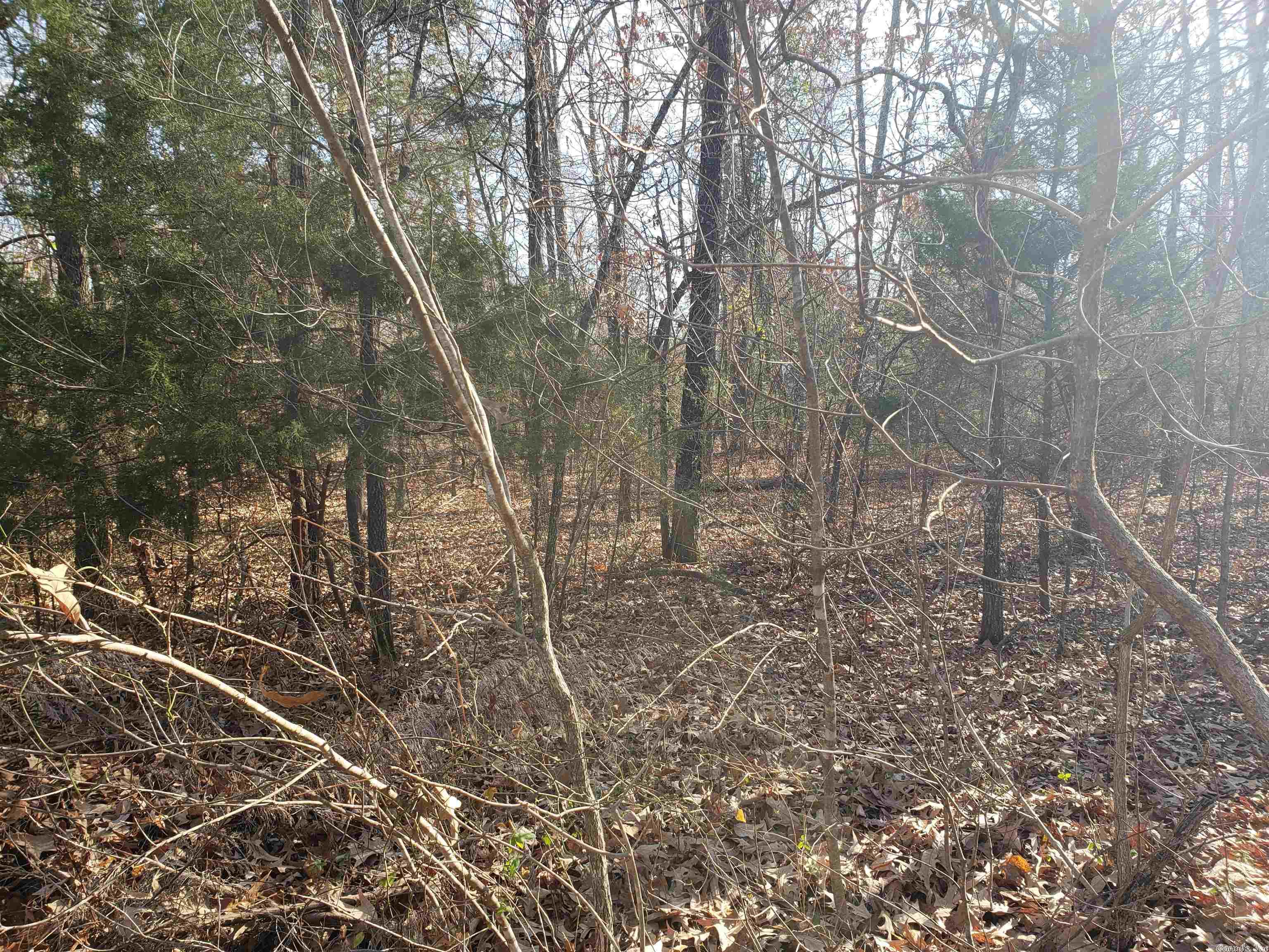 L-22 & 23, B-9  Poteau  Cherokee Village, AR