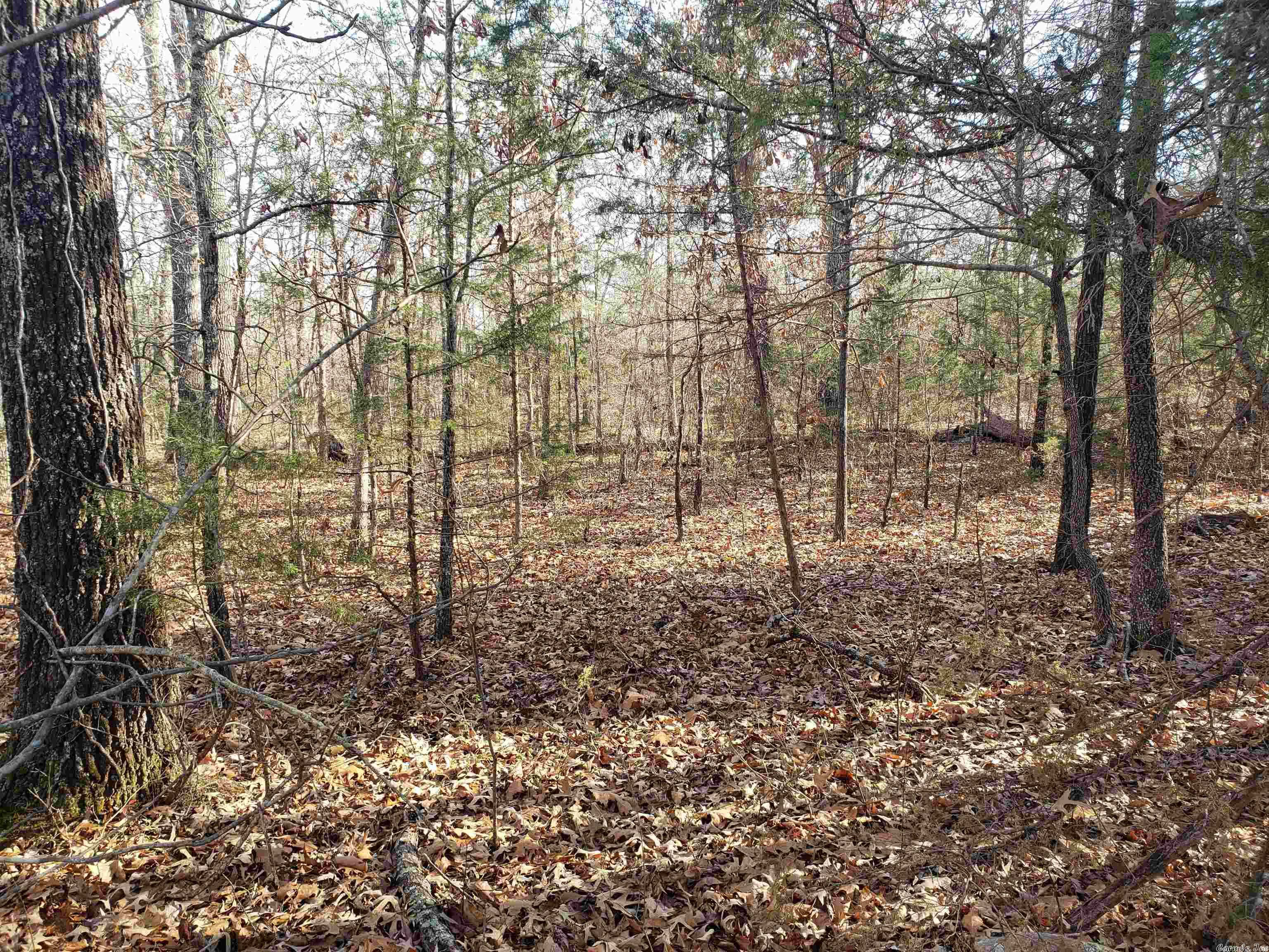 L-22 & 23, B-9  Poteau  Cherokee Village, AR