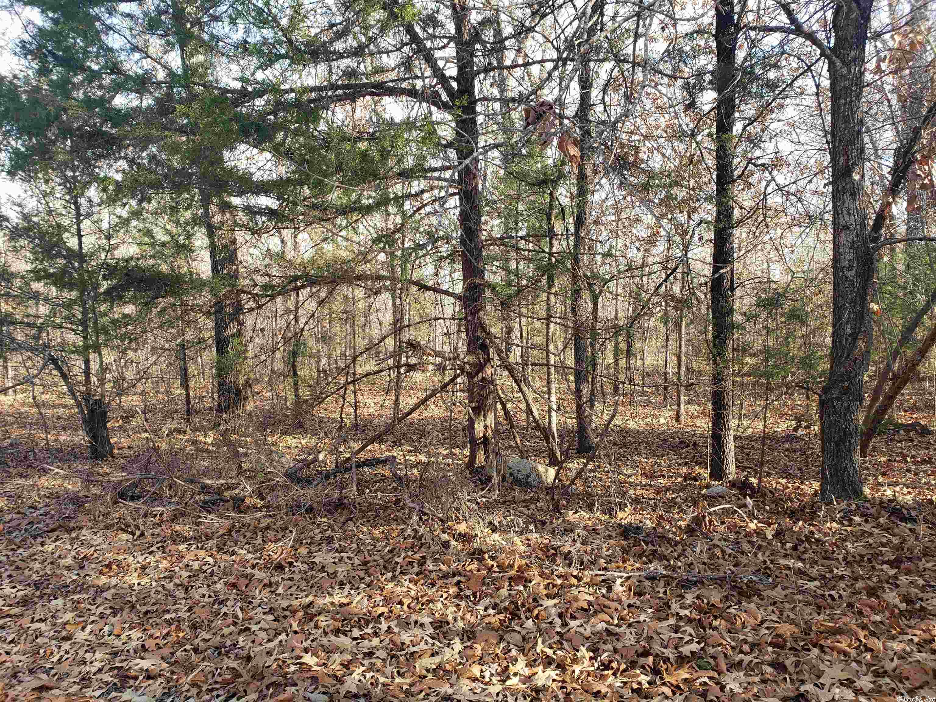 L-22 & 23, B-9  Poteau  Cherokee Village, AR