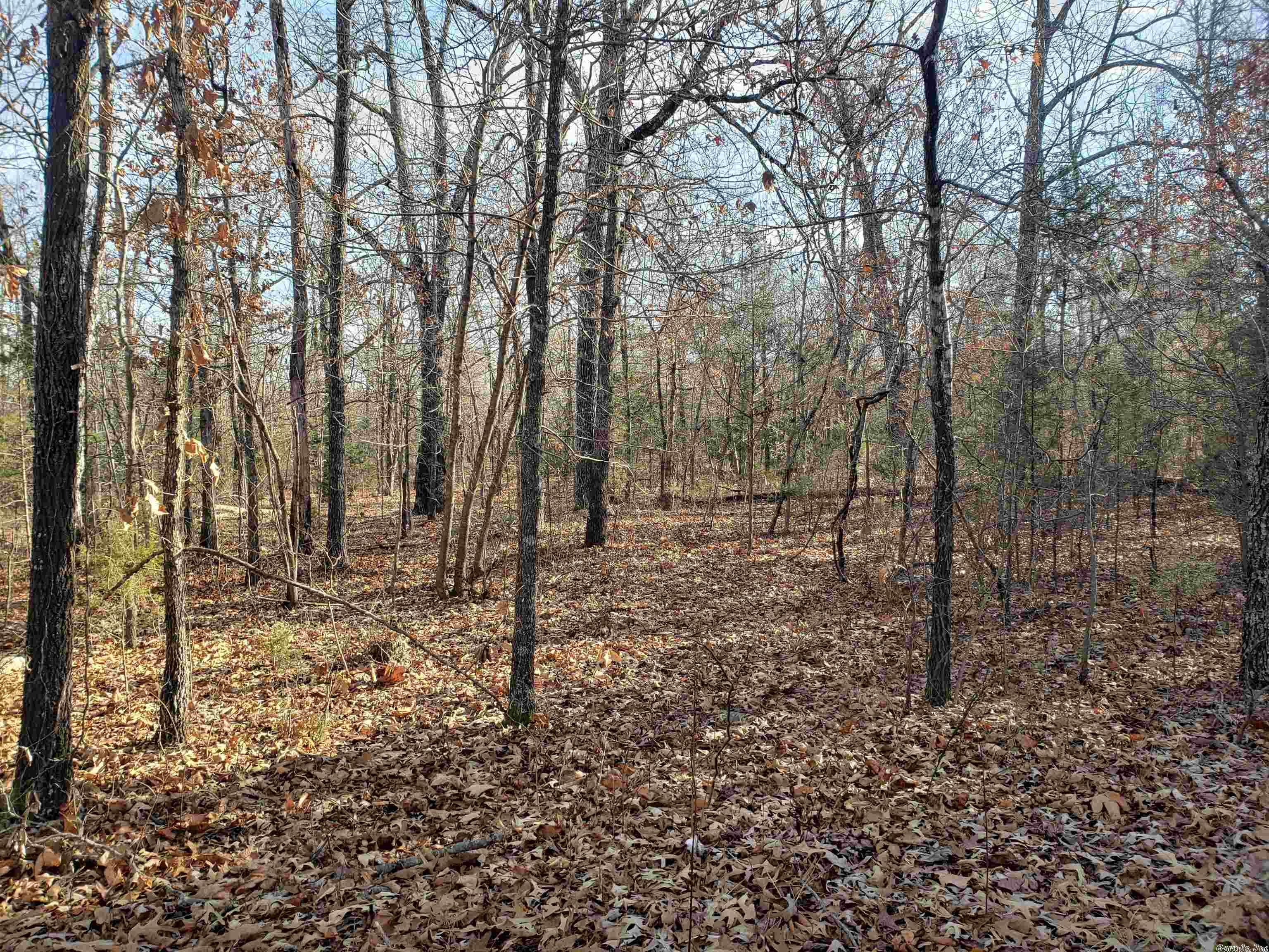 L-22 & 23, B-9  Poteau  Cherokee Village, AR