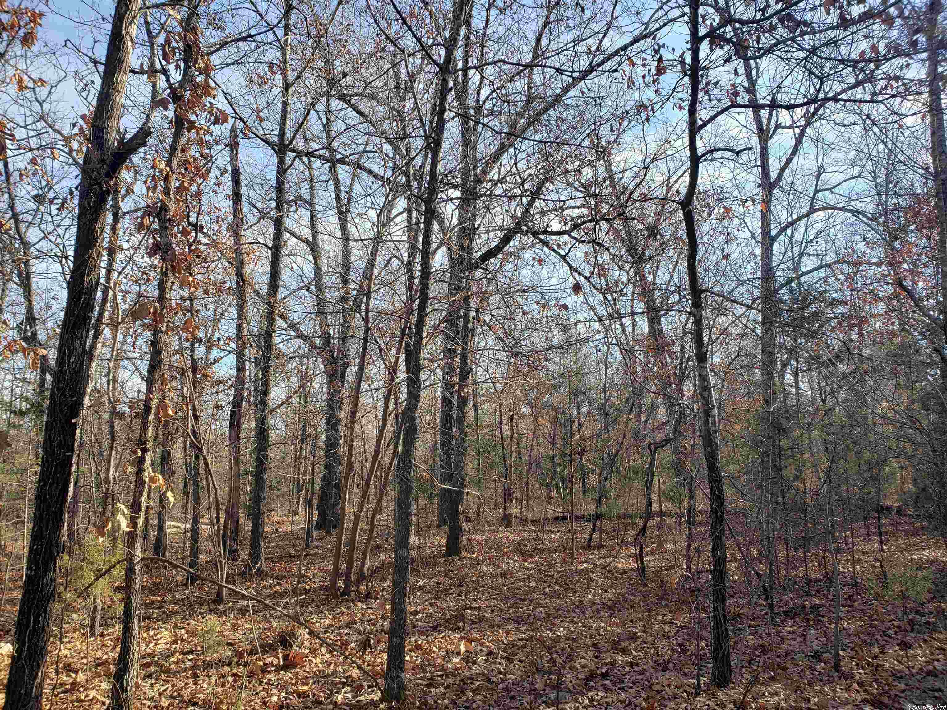 L-22 & 23, B-9  Poteau  Cherokee Village, AR
