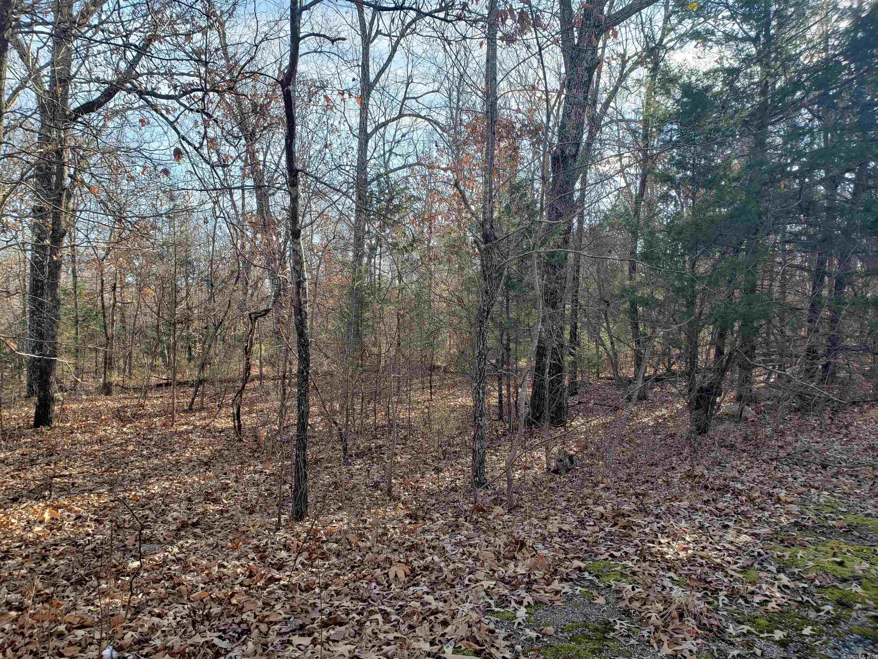 L-22 & 23, B-9  Poteau  Cherokee Village, AR