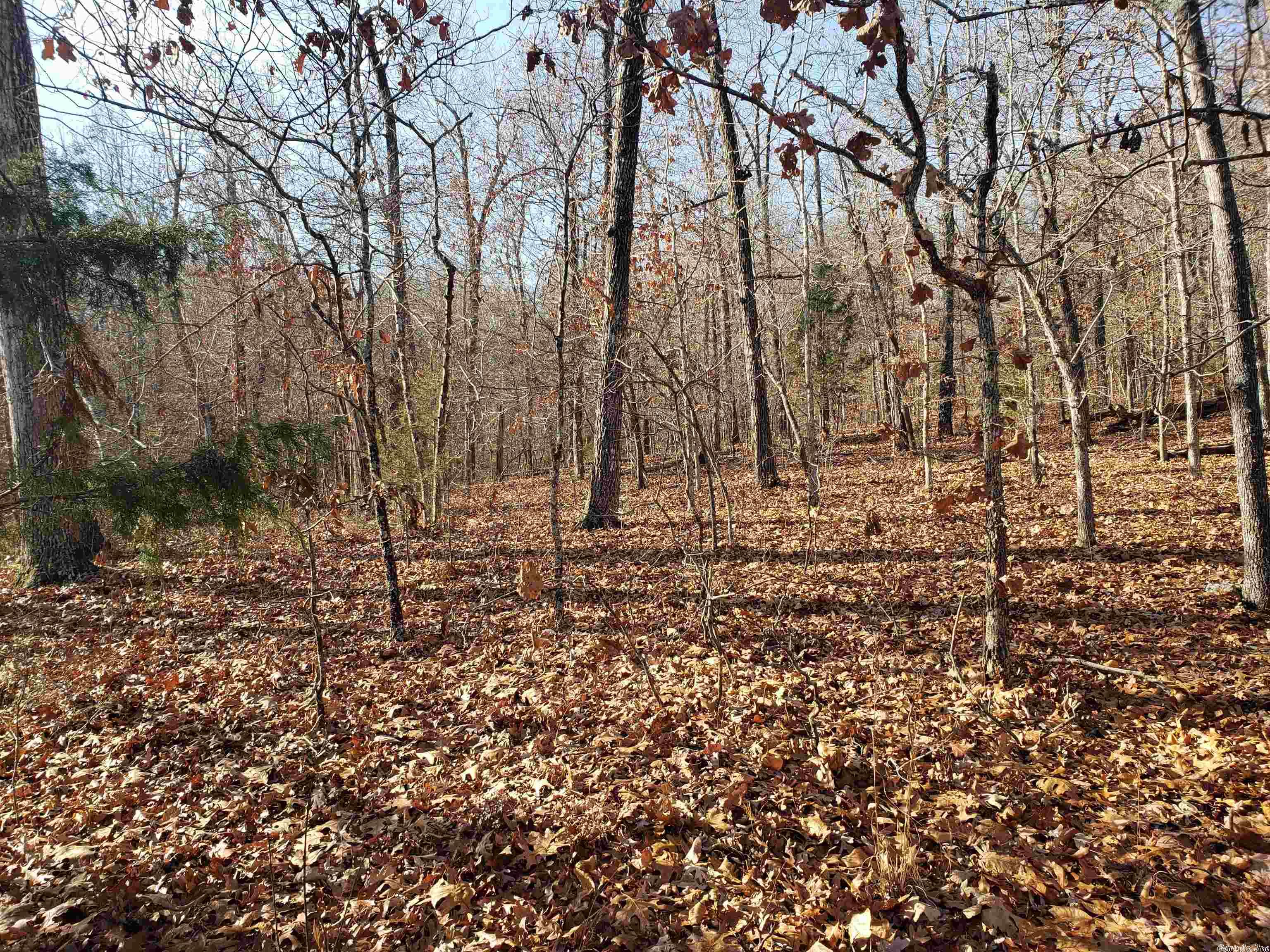 L-61 & 62, B-7  Quenemo  Cherokee Village, AR