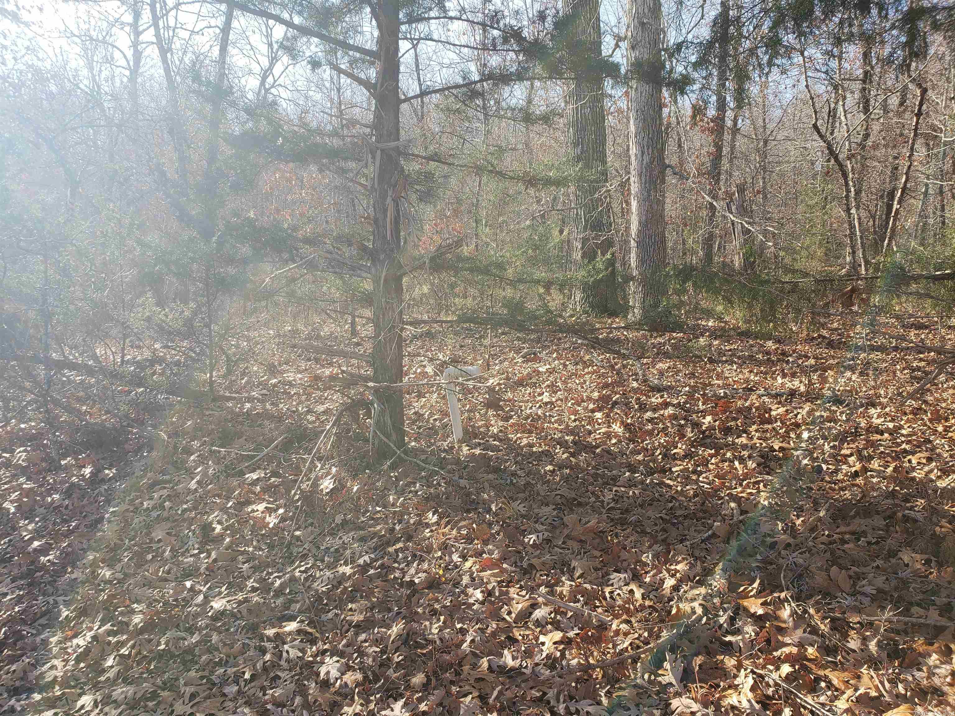 L-61 & 62, B-7  Quenemo  Cherokee Village, AR