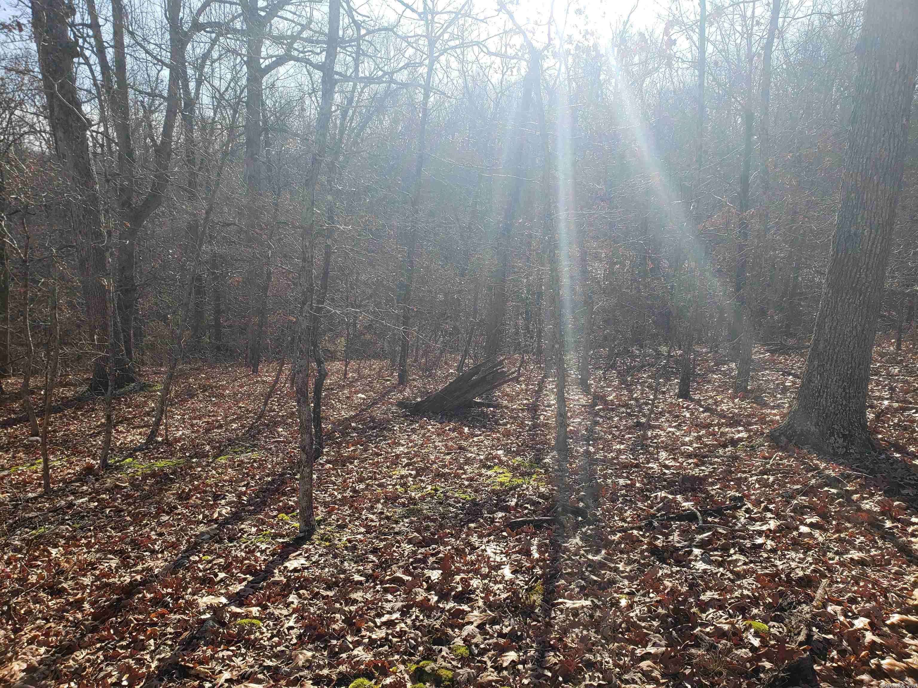 L-61 & 62, B-7  Quenemo  Cherokee Village, AR