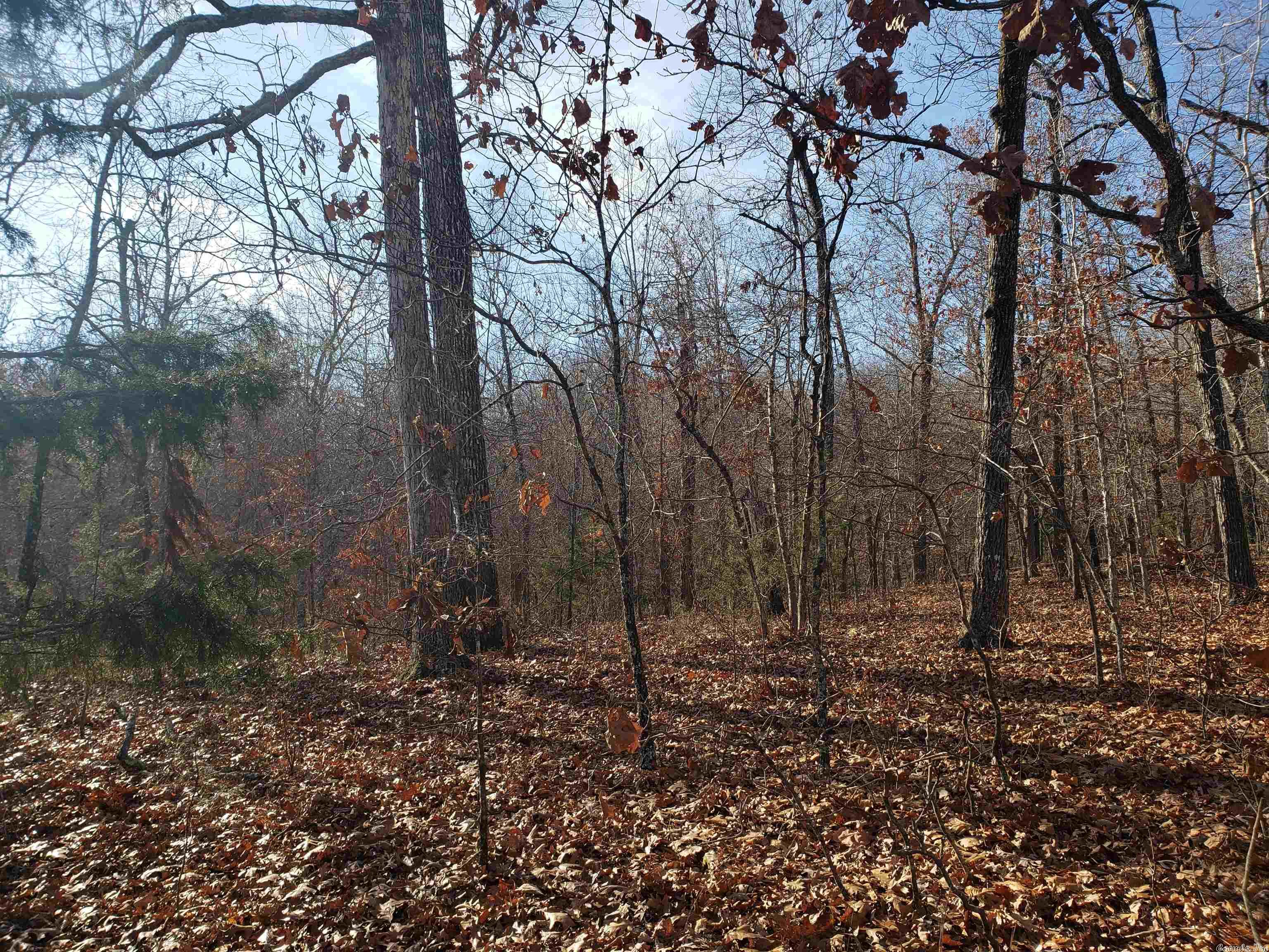 L-61 & 62, B-7  Quenemo  Cherokee Village, AR