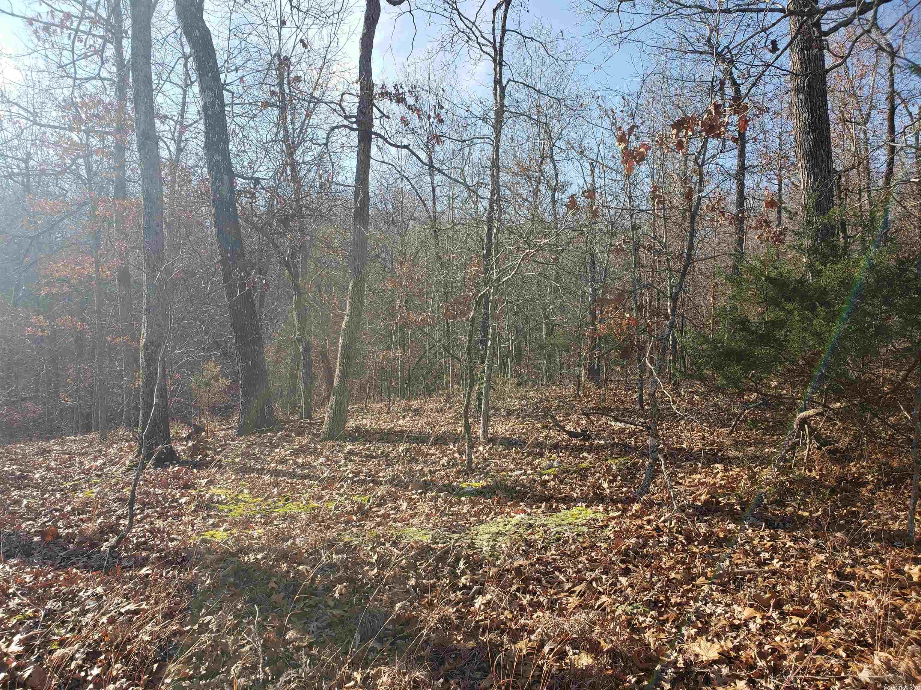 L-61 & 62, B-7  Quenemo  Cherokee Village, AR