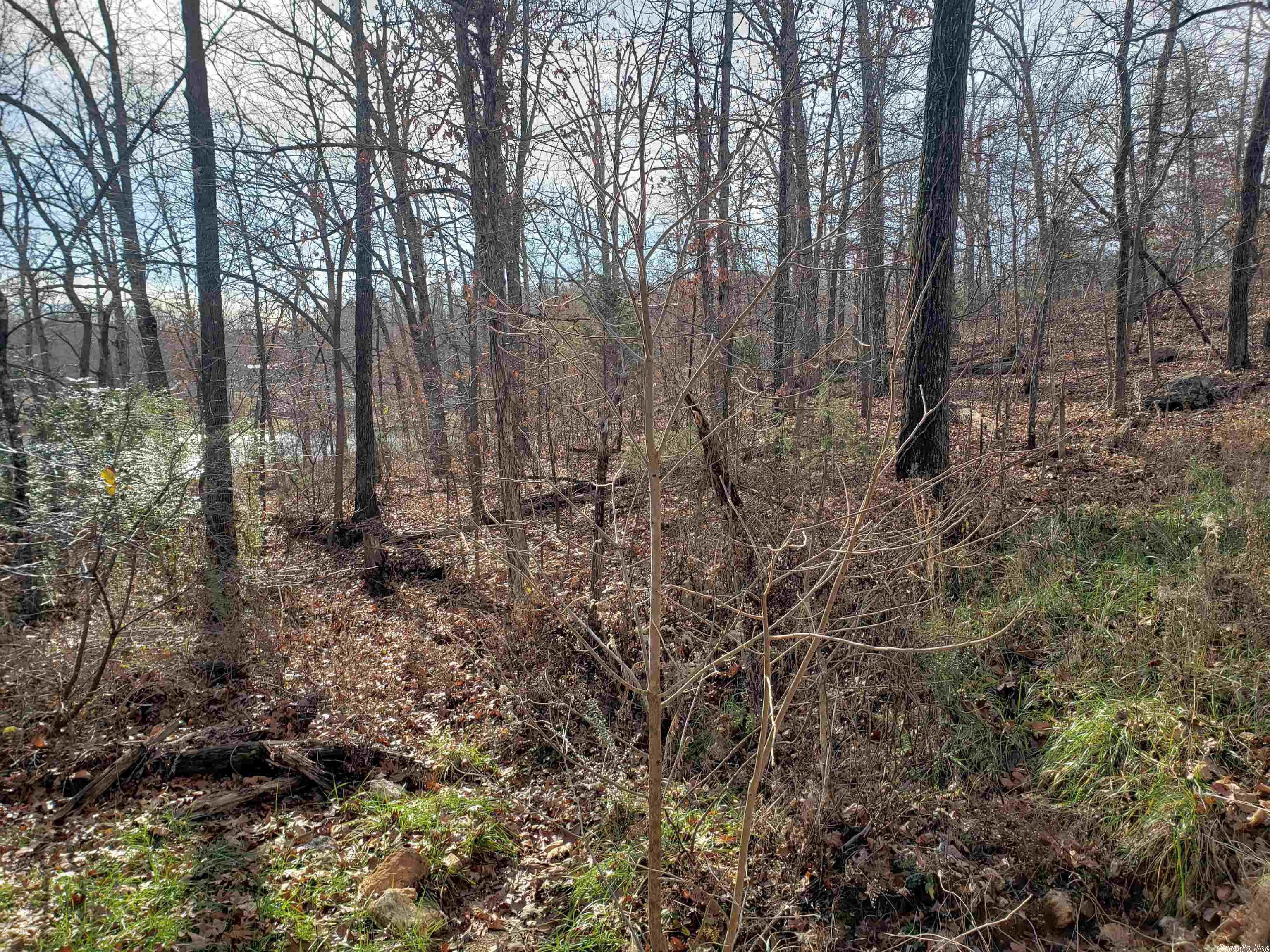   W Lakeshore  Highland, AR