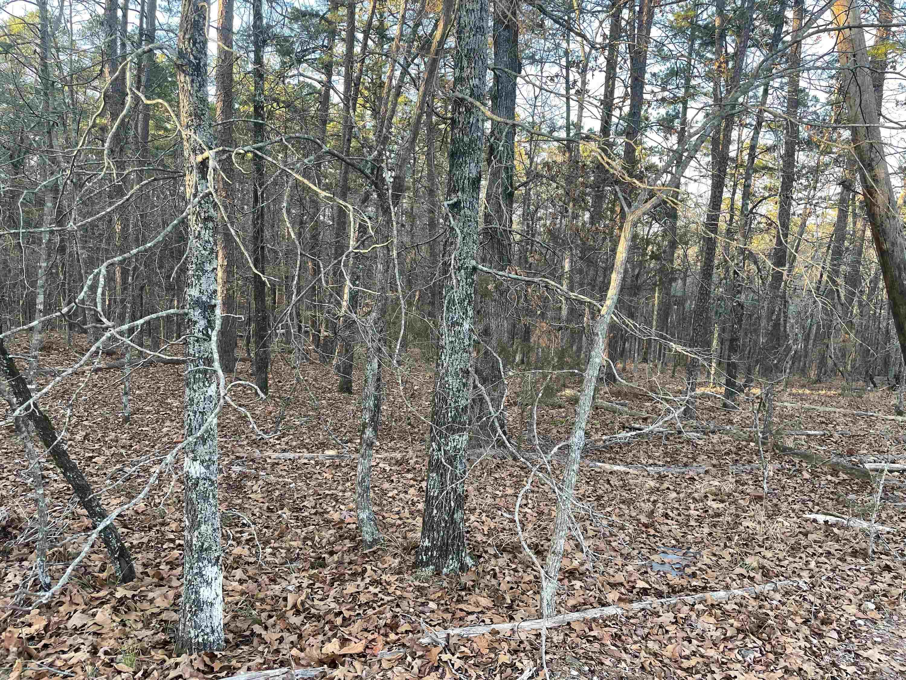 64 Sergio Way  Hot Springs Village, AR