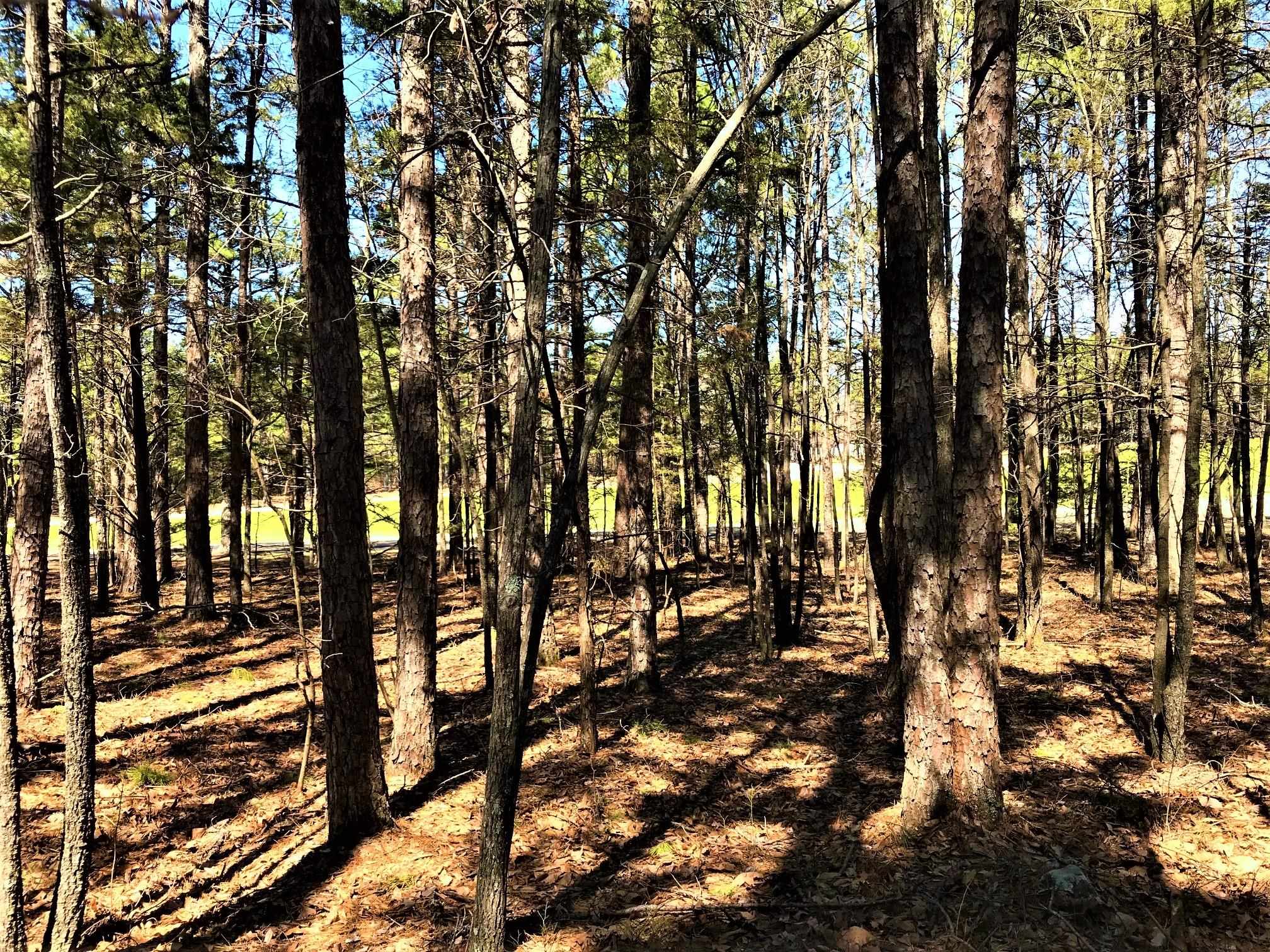 160  Edgemere Dr.  Fairfield Bay, AR