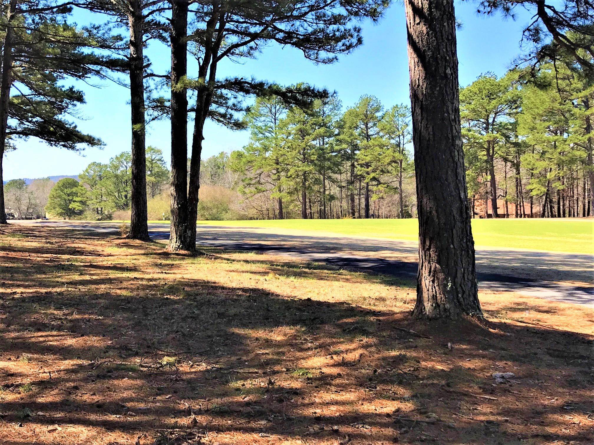 160  Edgemere Dr.  Fairfield Bay, AR