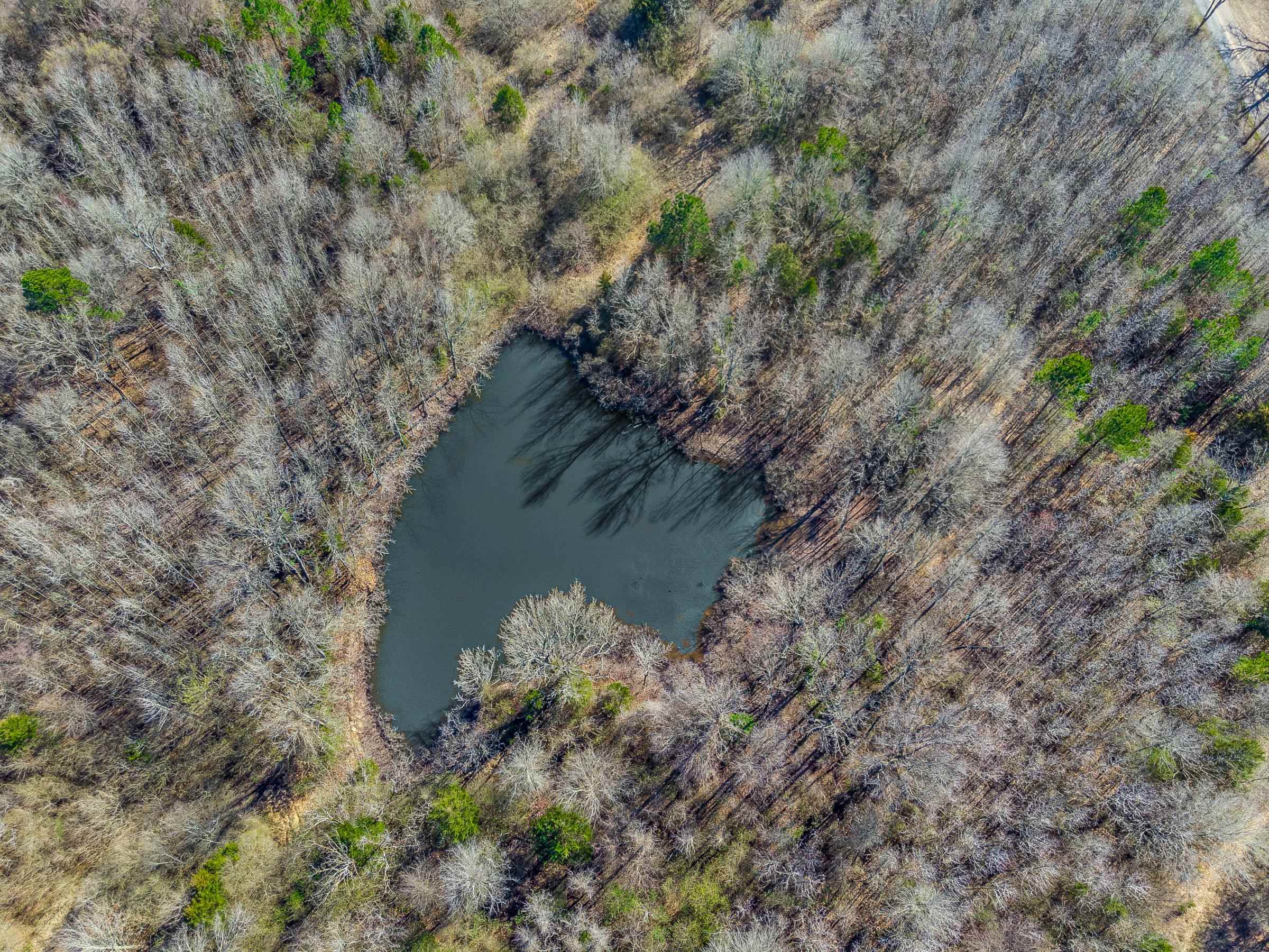 TBD  Hwy 41  Horatio, AR