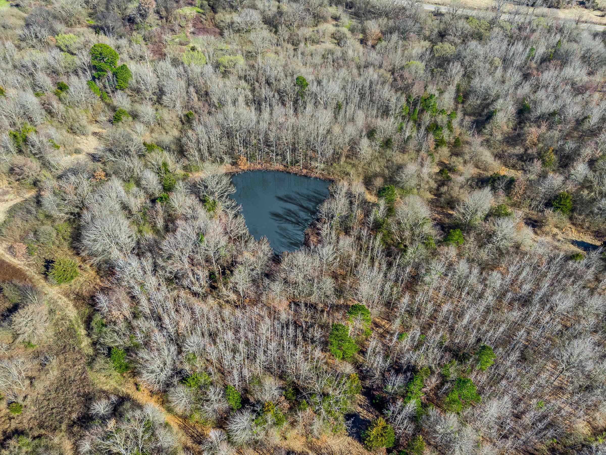 TBD  Hwy 41  Horatio, AR