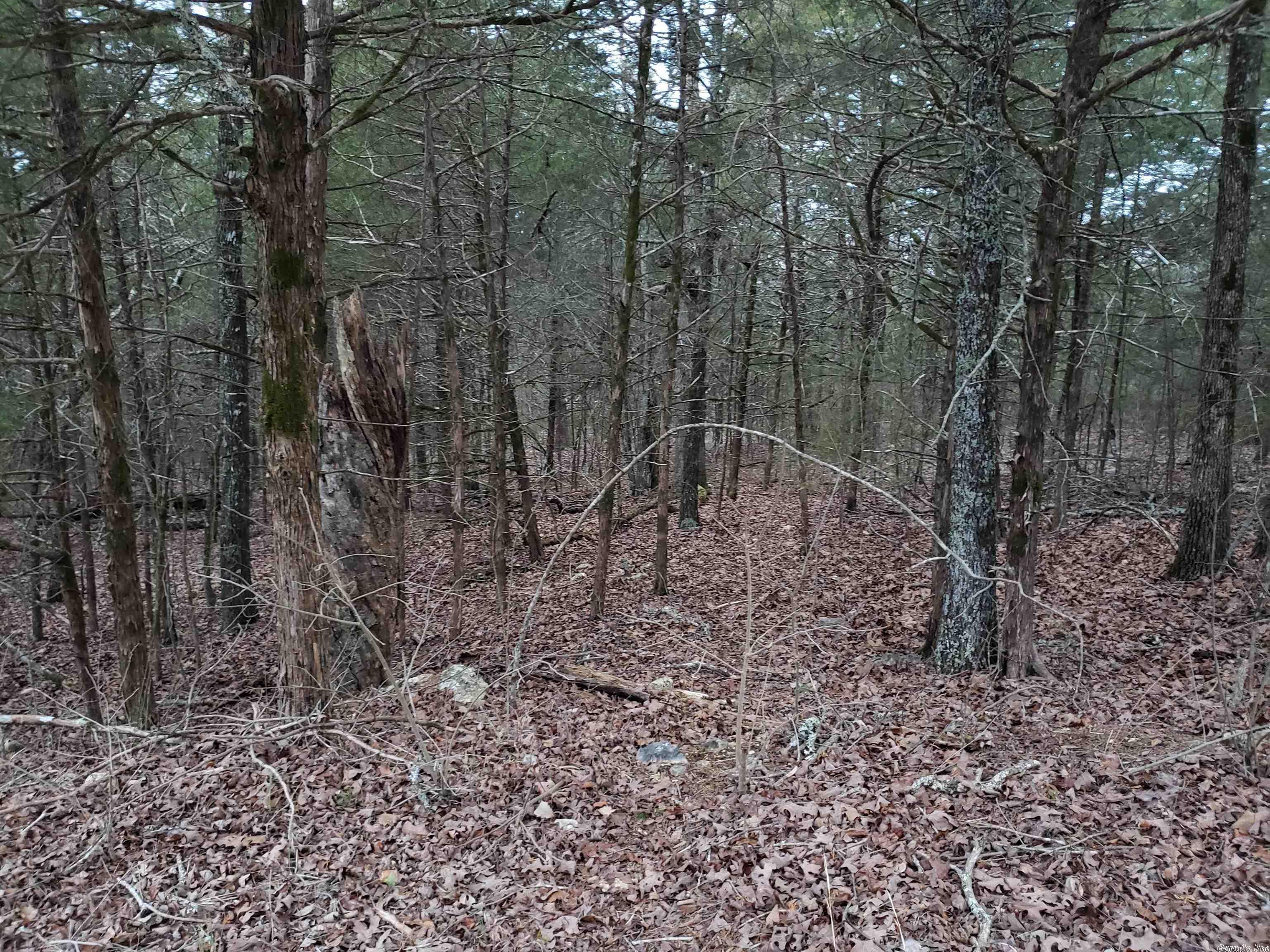 L-69, 70, & 71  Hernando  Cherokee Village, AR