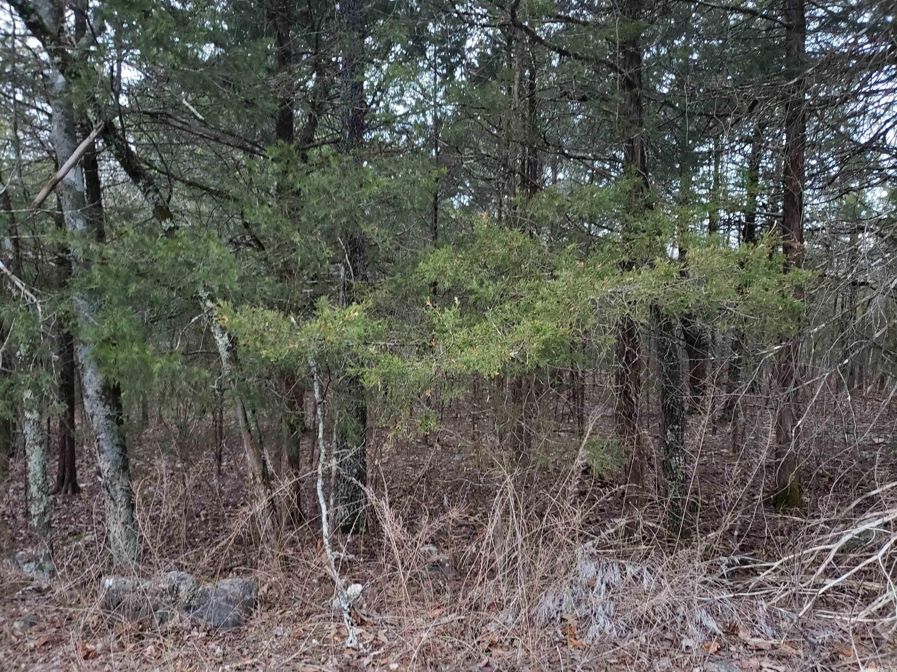 L-69, 70, & 71  Hernando  Cherokee Village, AR