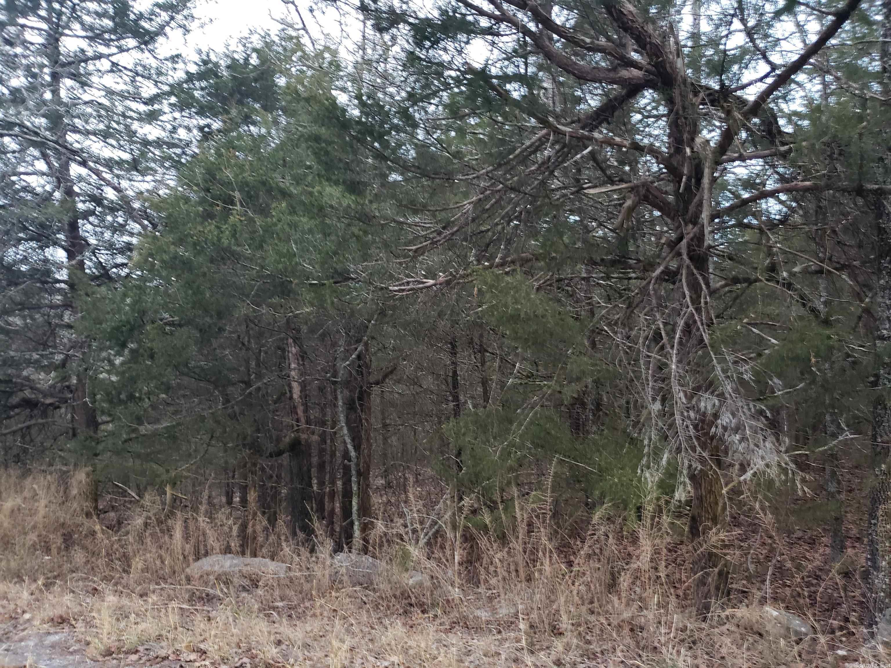 L-69, 70, & 71  Hernando  Cherokee Village, AR