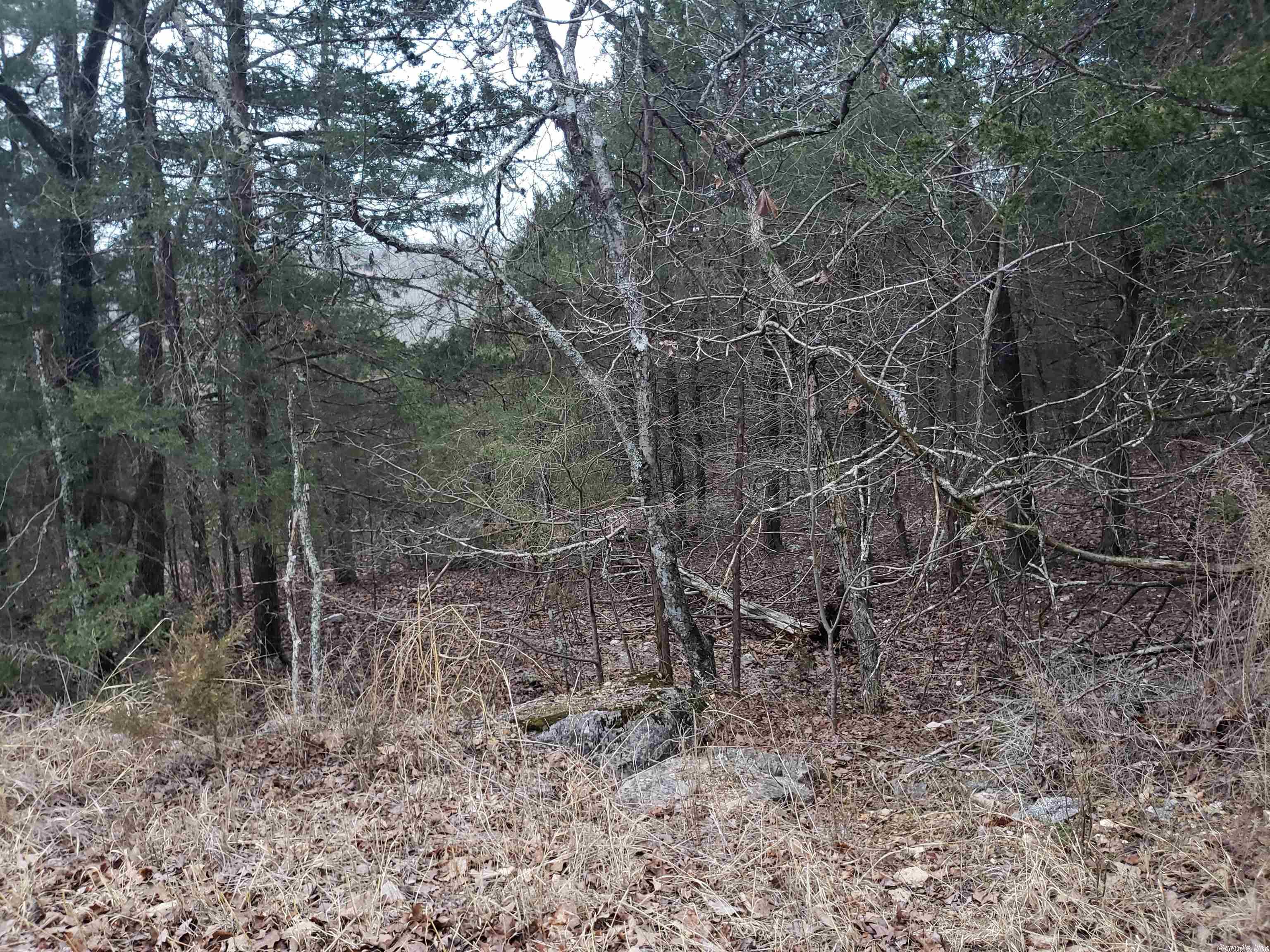L-69, 70, & 71  Hernando  Cherokee Village, AR