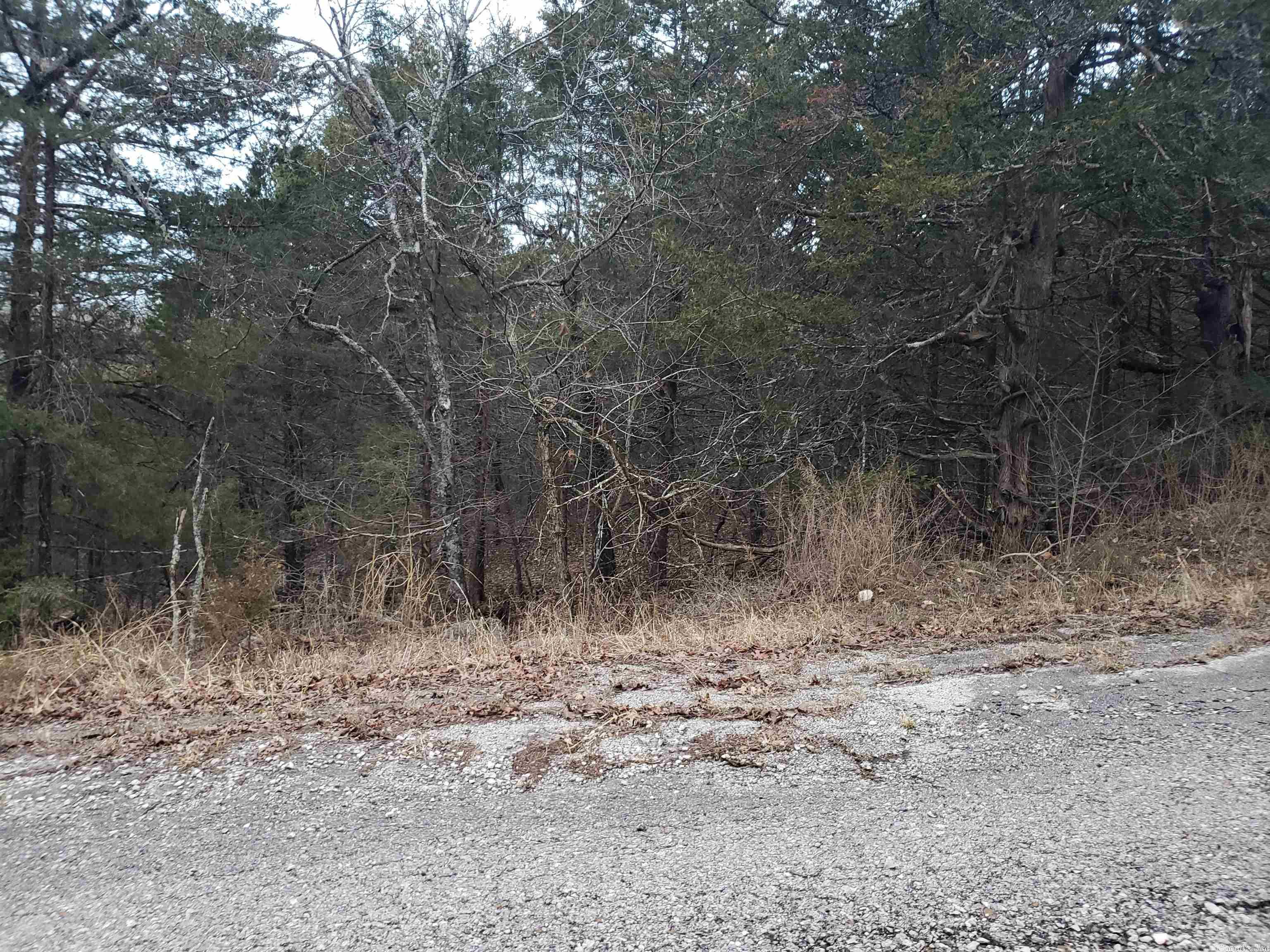 L-69, 70, & 71  Hernando  Cherokee Village, AR
