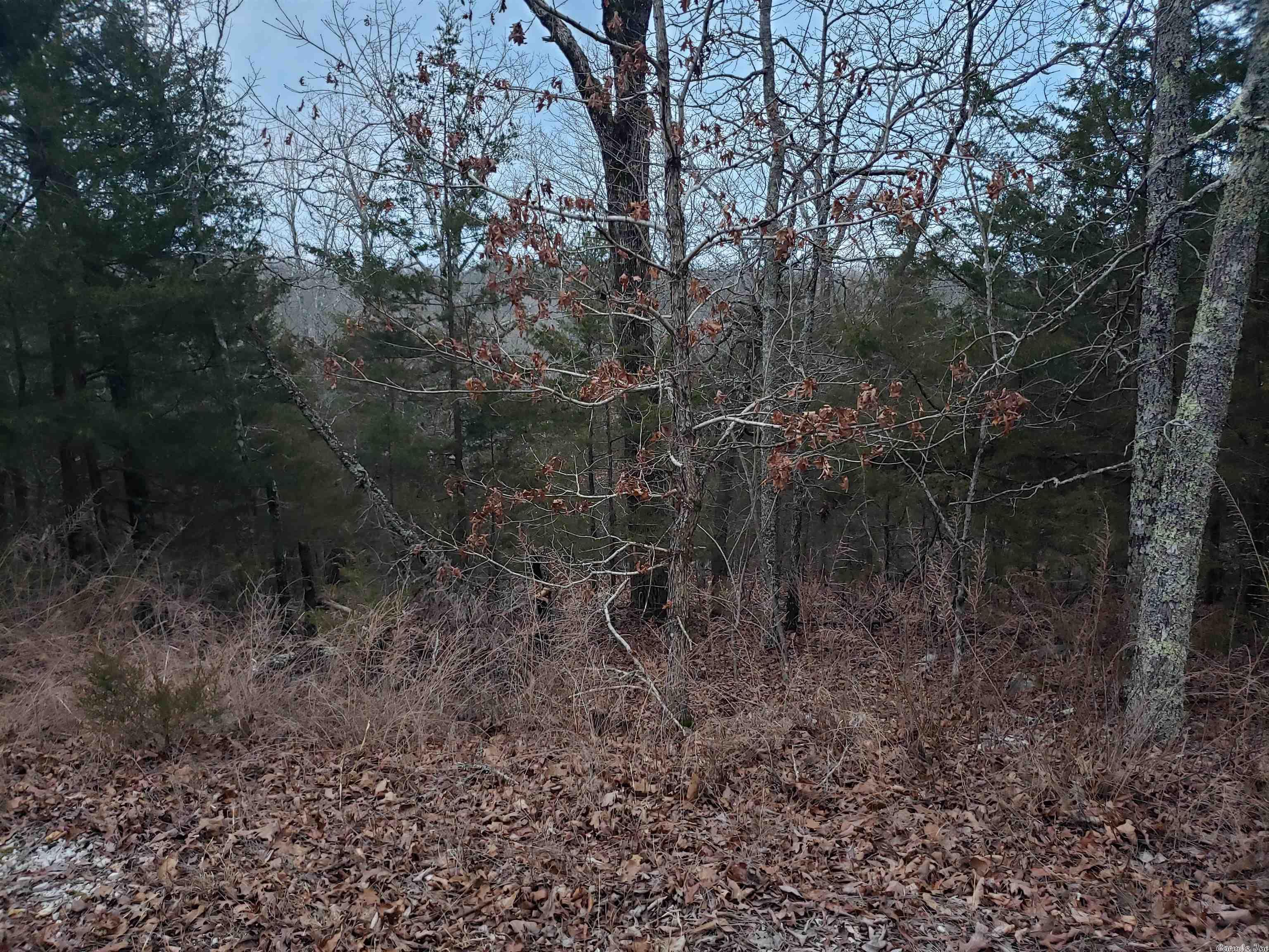 L-69, 70, & 71  Hernando  Cherokee Village, AR
