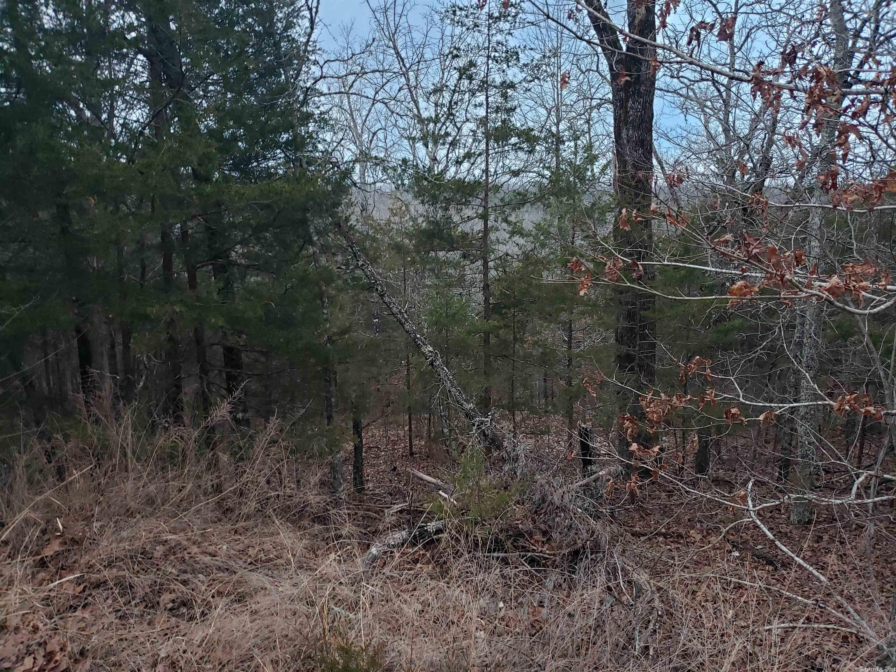 L-69, 70, & 71  Hernando  Cherokee Village, AR
