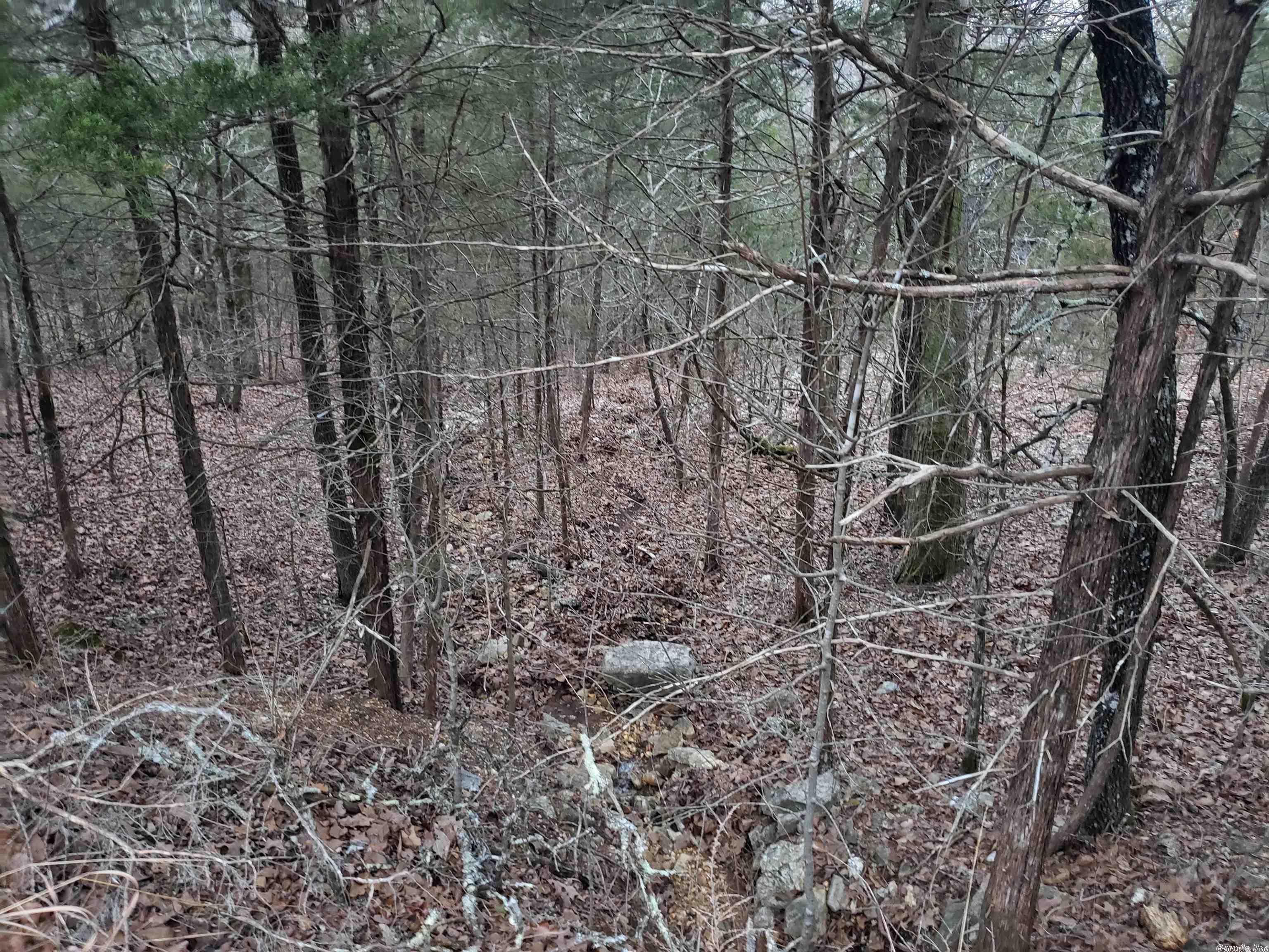 L-69, 70, & 71  Hernando  Cherokee Village, AR
